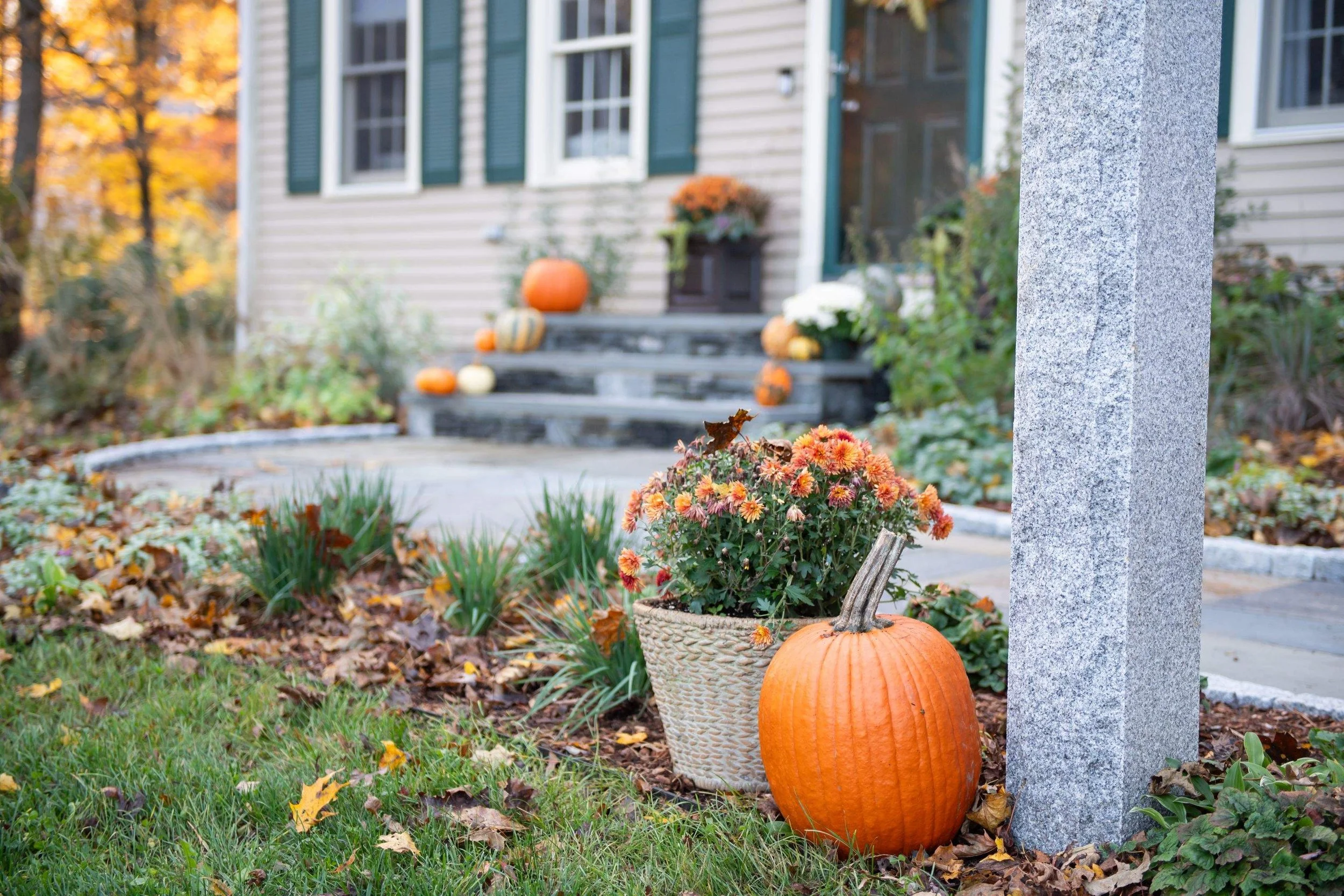 What do I do in the garden in October?
