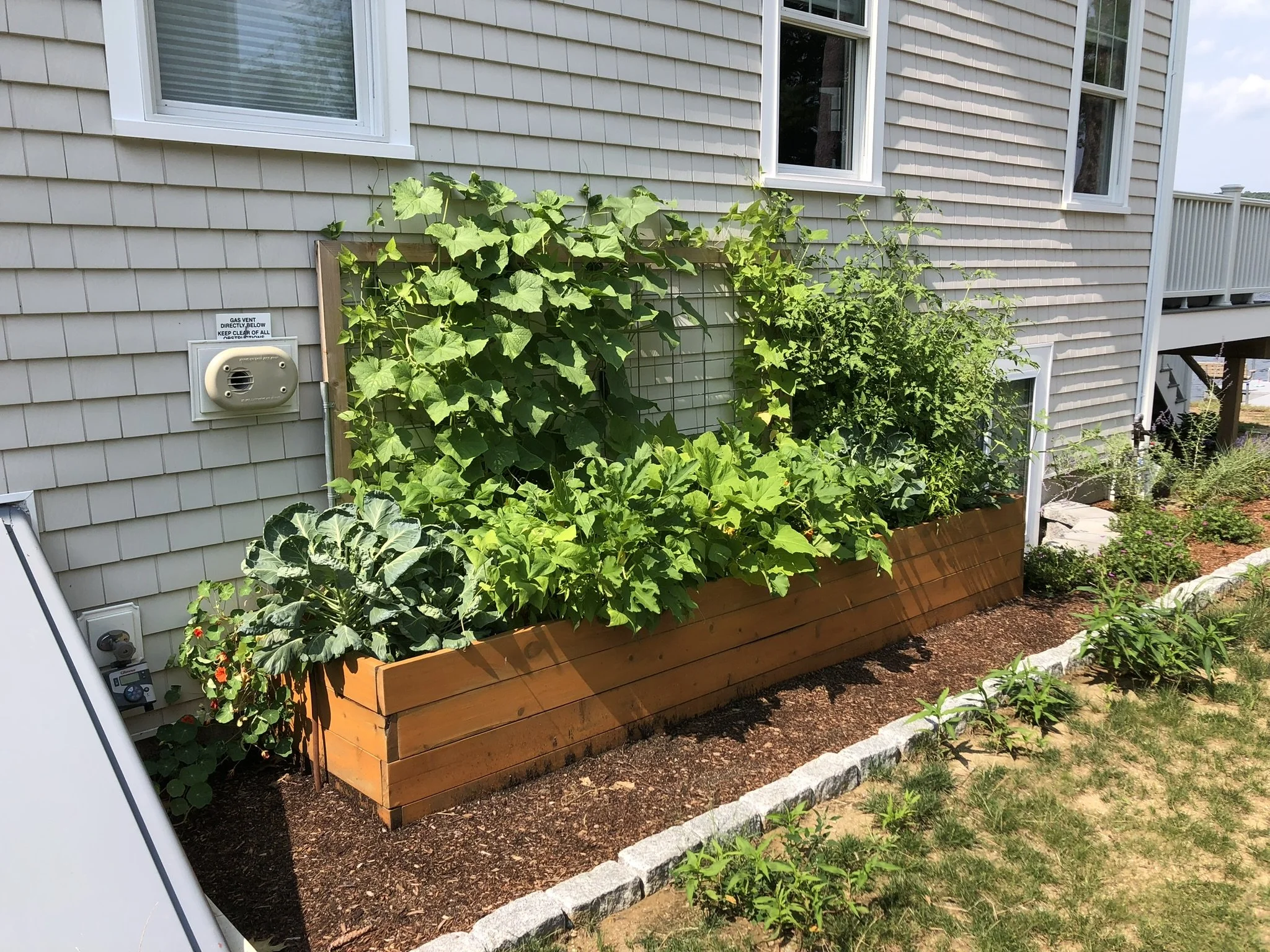 Raised Bed and Cattle Panel Trellis Blooming.JPEG