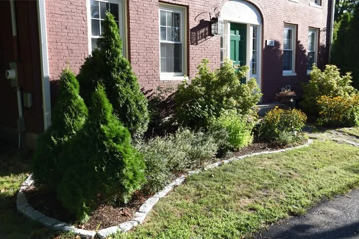 Low-Maintenance Foundation Garden with Native Plants.jpg