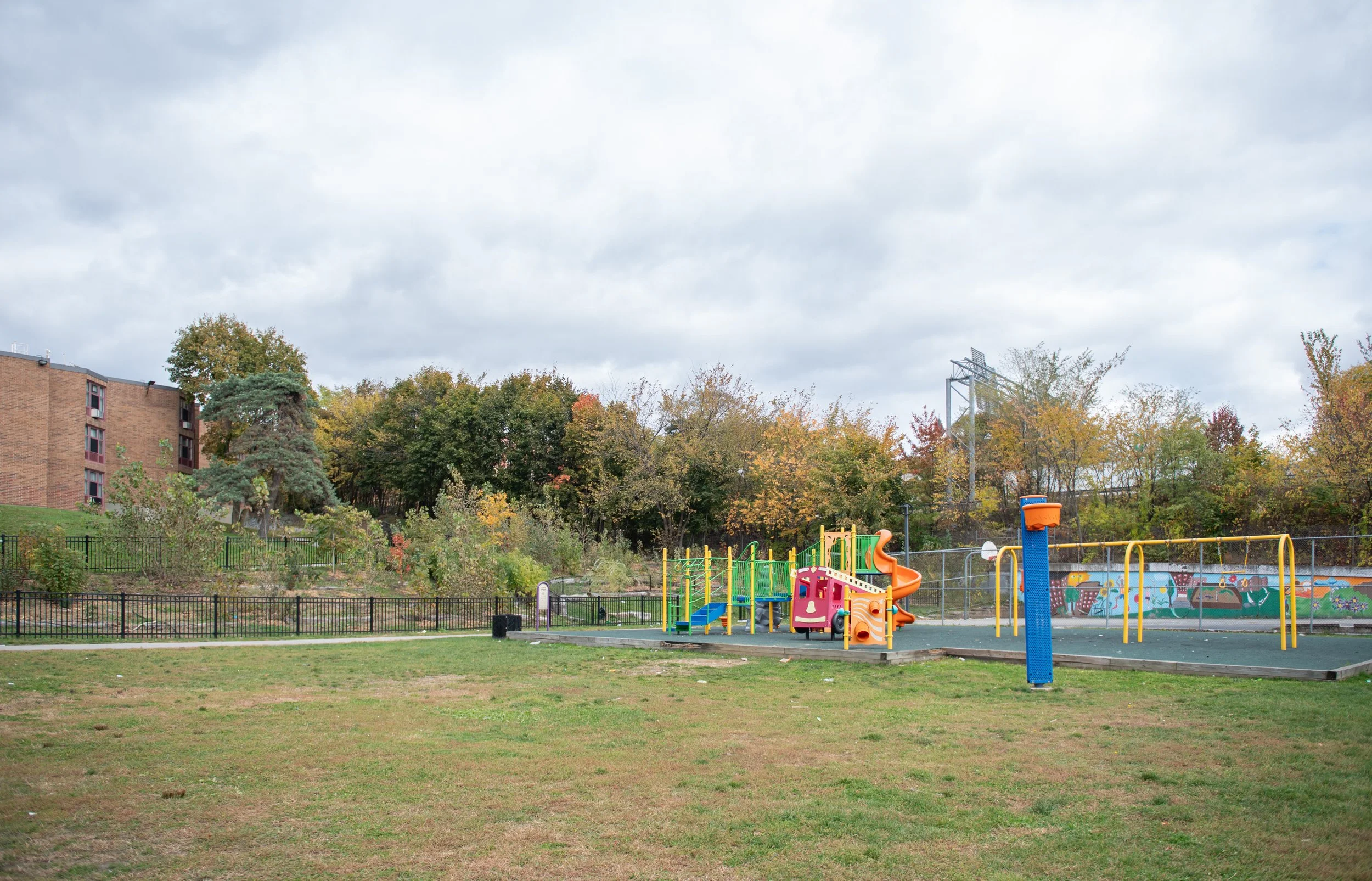 2025_Fall Miyawaki Plumley-7.jpg