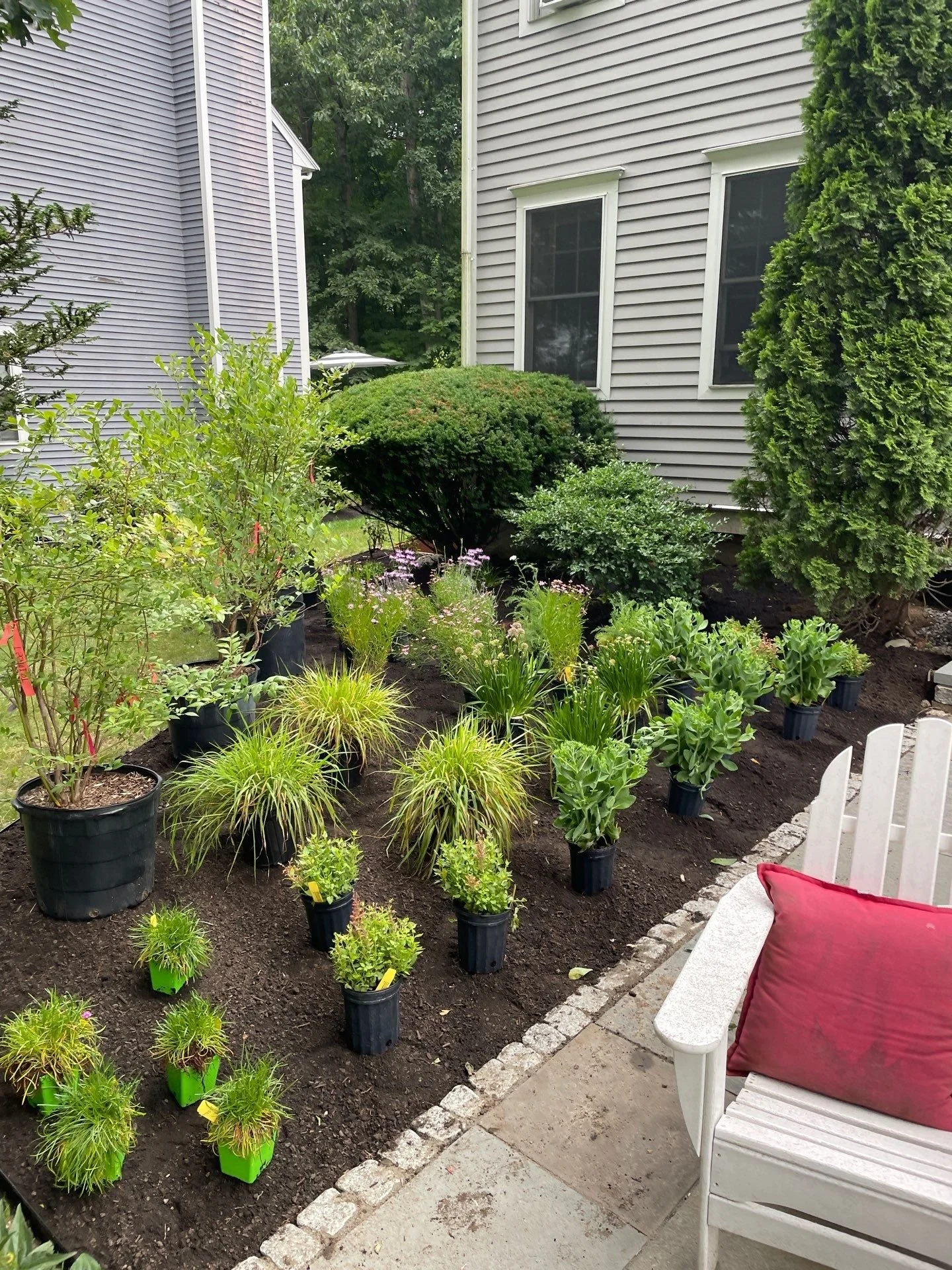 Front Yard Planting 01.jpg