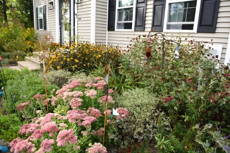 Native Landscaping for a Beautiful and Functional Front Yard.jpg