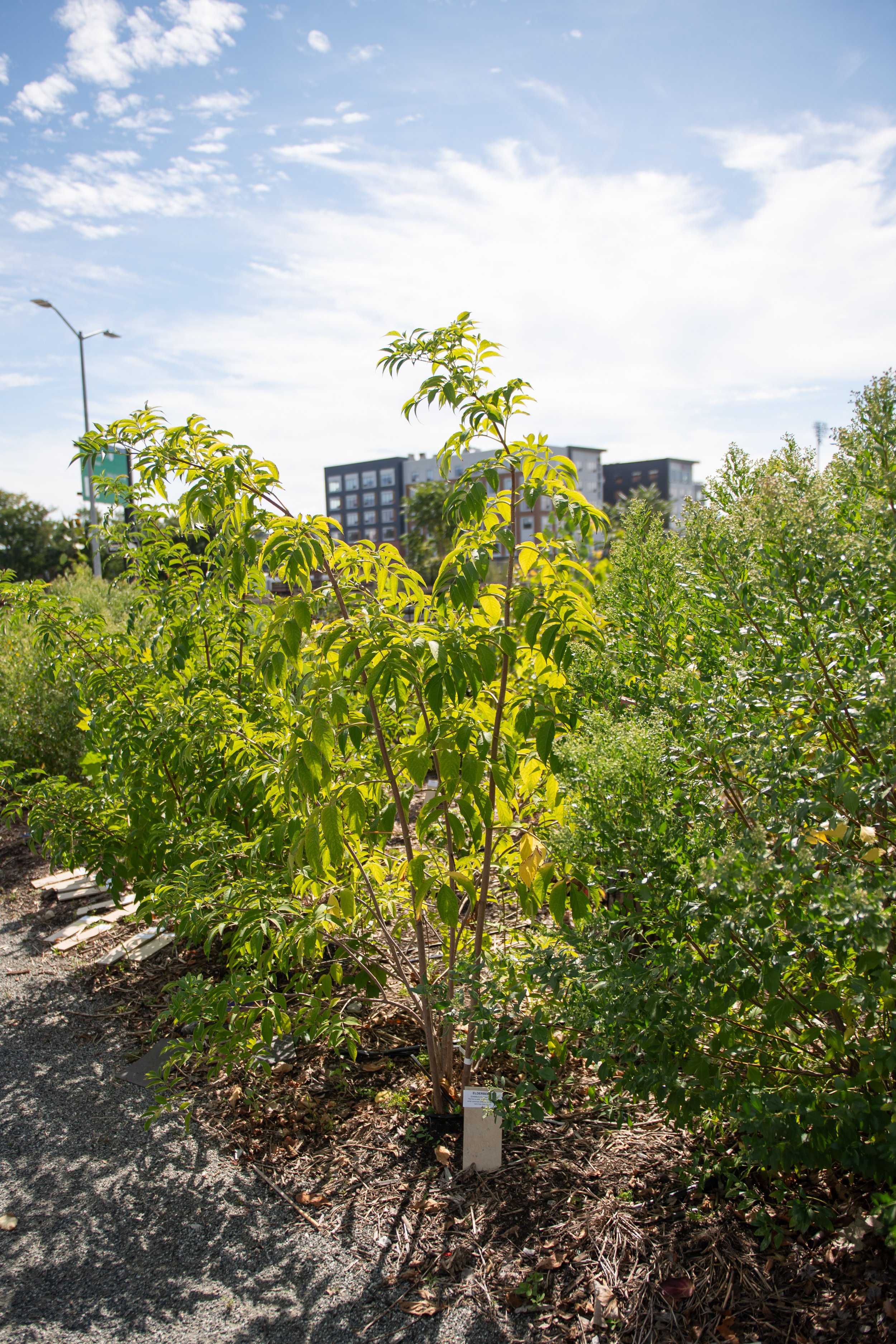 DRP_6678.jpg