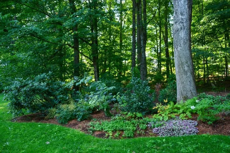 Native Shade Garden Design for a Resilient Landscape (1).jpg