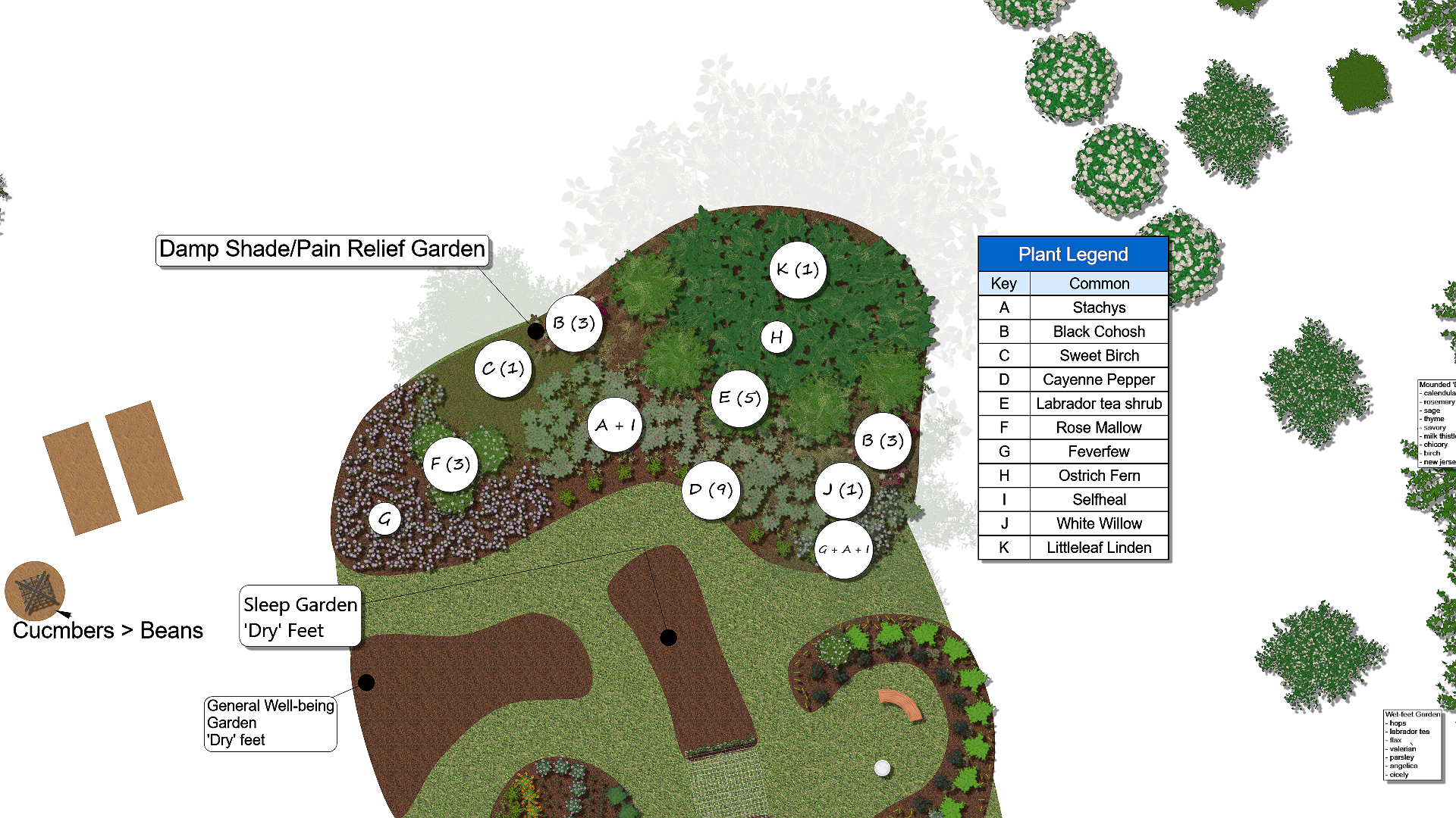 Pain Relief-Damp Shade_planting plan.png