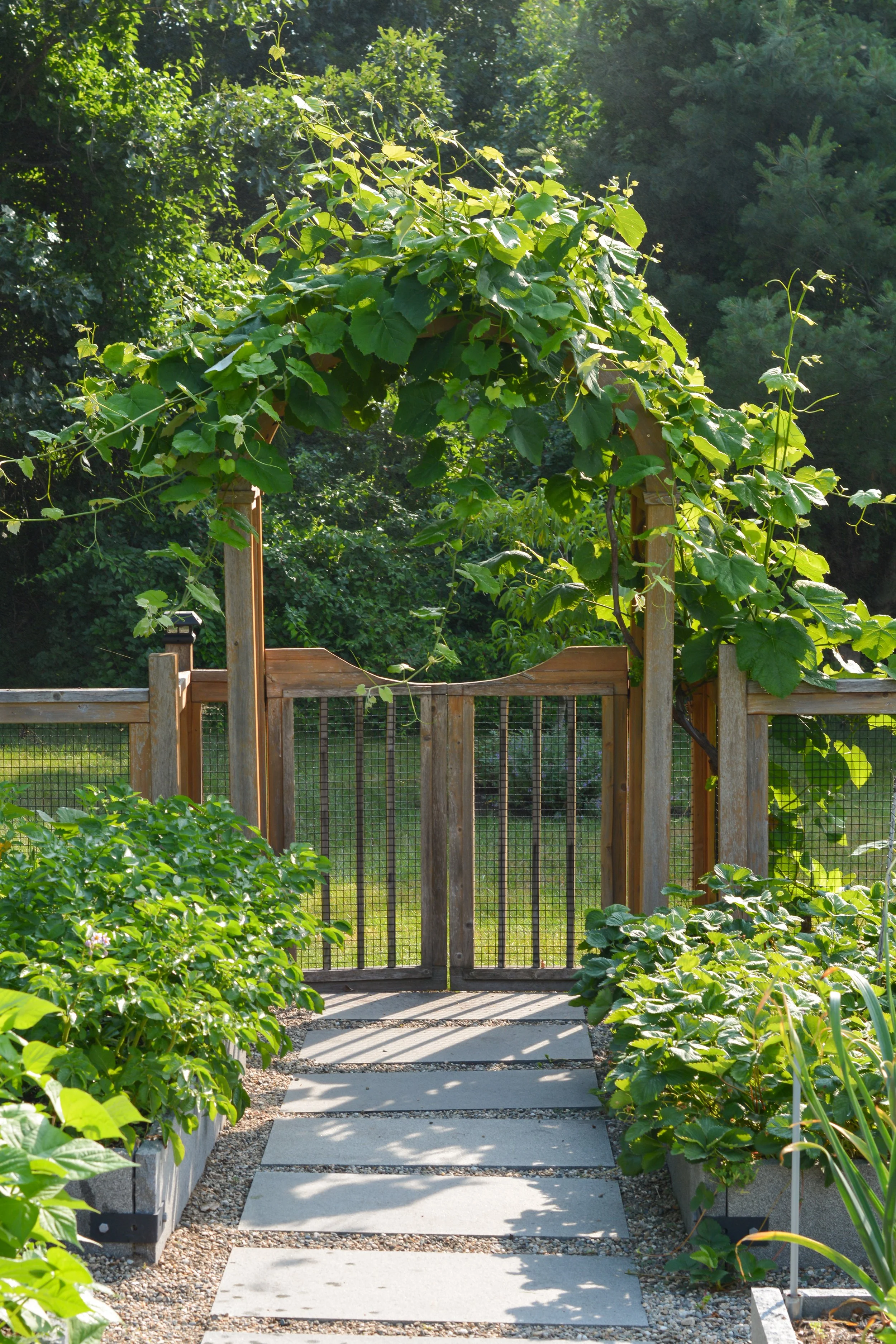 Custom raised bed fruit tree garden Westborough-19.jpg