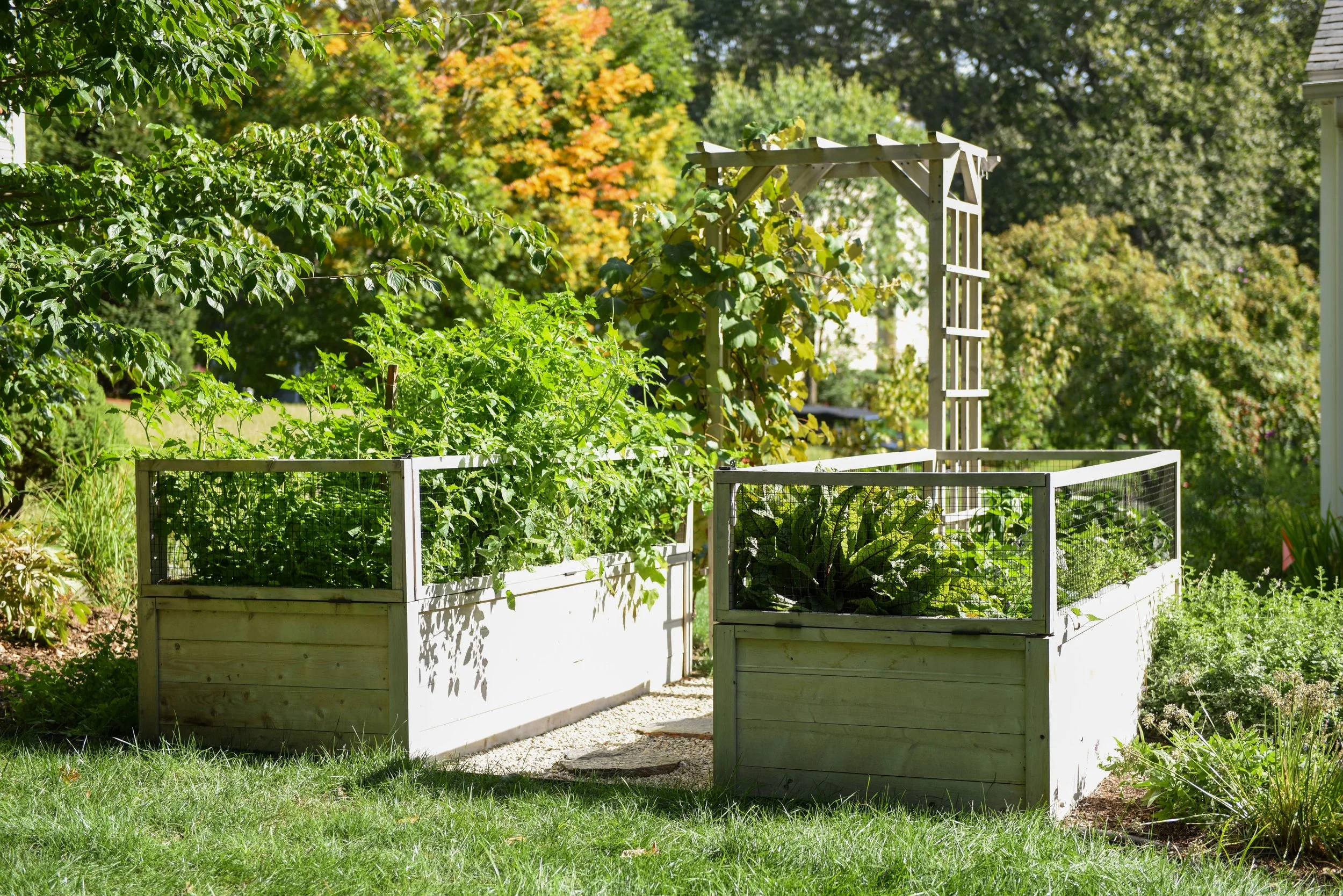 Reimagined Roots Custom Cedar Raised Garden Bed Portfolio | Central Massachusetts
