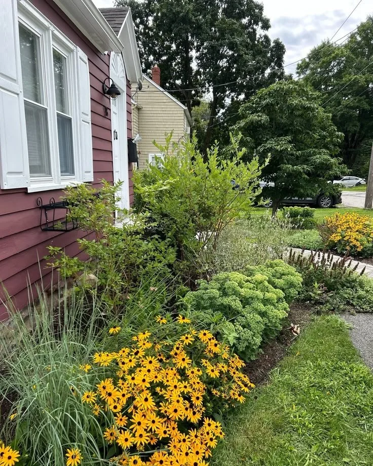 Pollinator-Friendly Landscaping for Front Yards.jpg