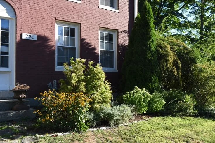 Native Foundation Landscaping That Looks Intentional.jpg