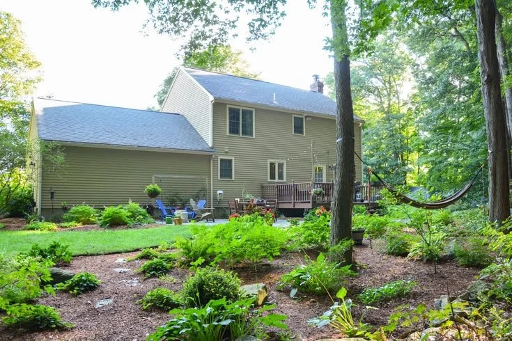 Native Shade Garden Designed Around Mature Trees.jpg