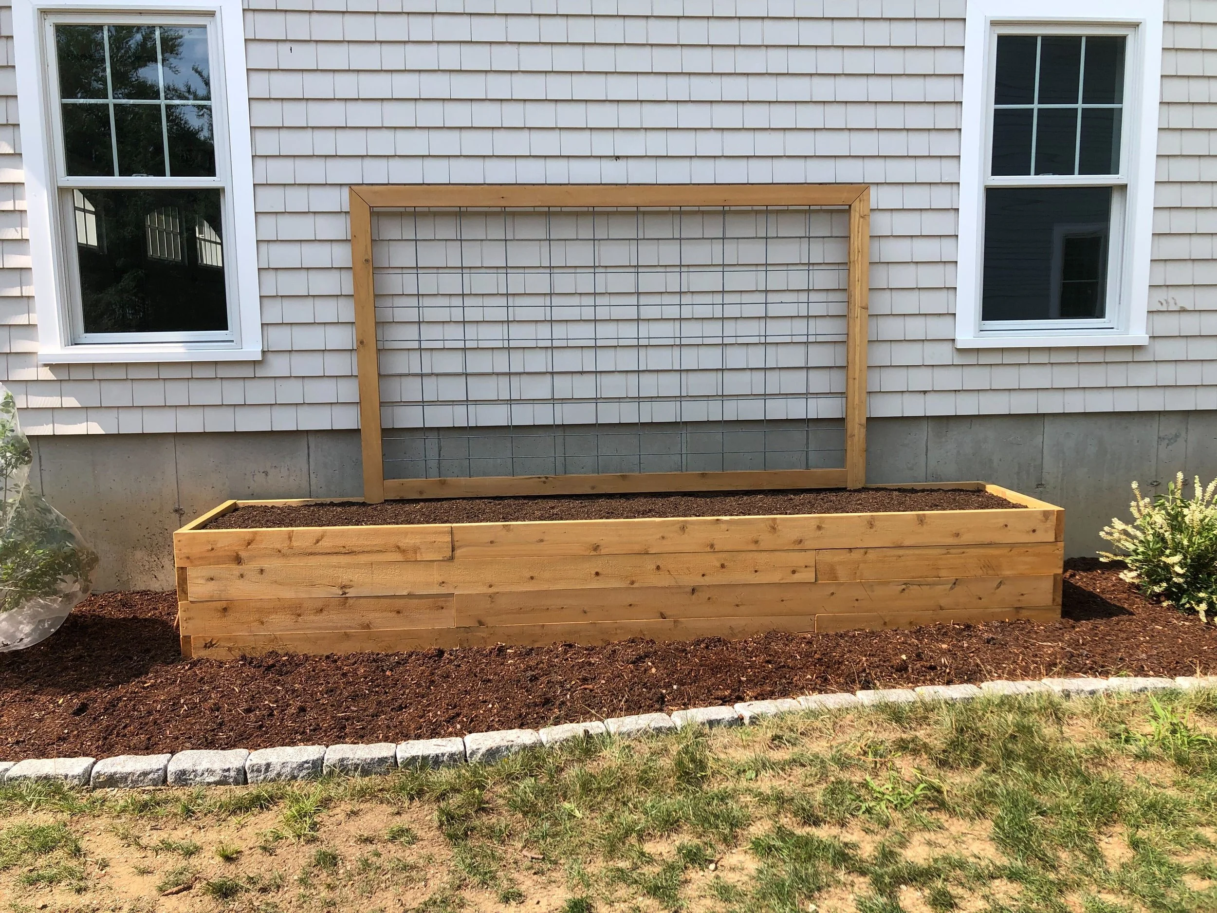 Raised bed and Cattele panel trellis.jpg