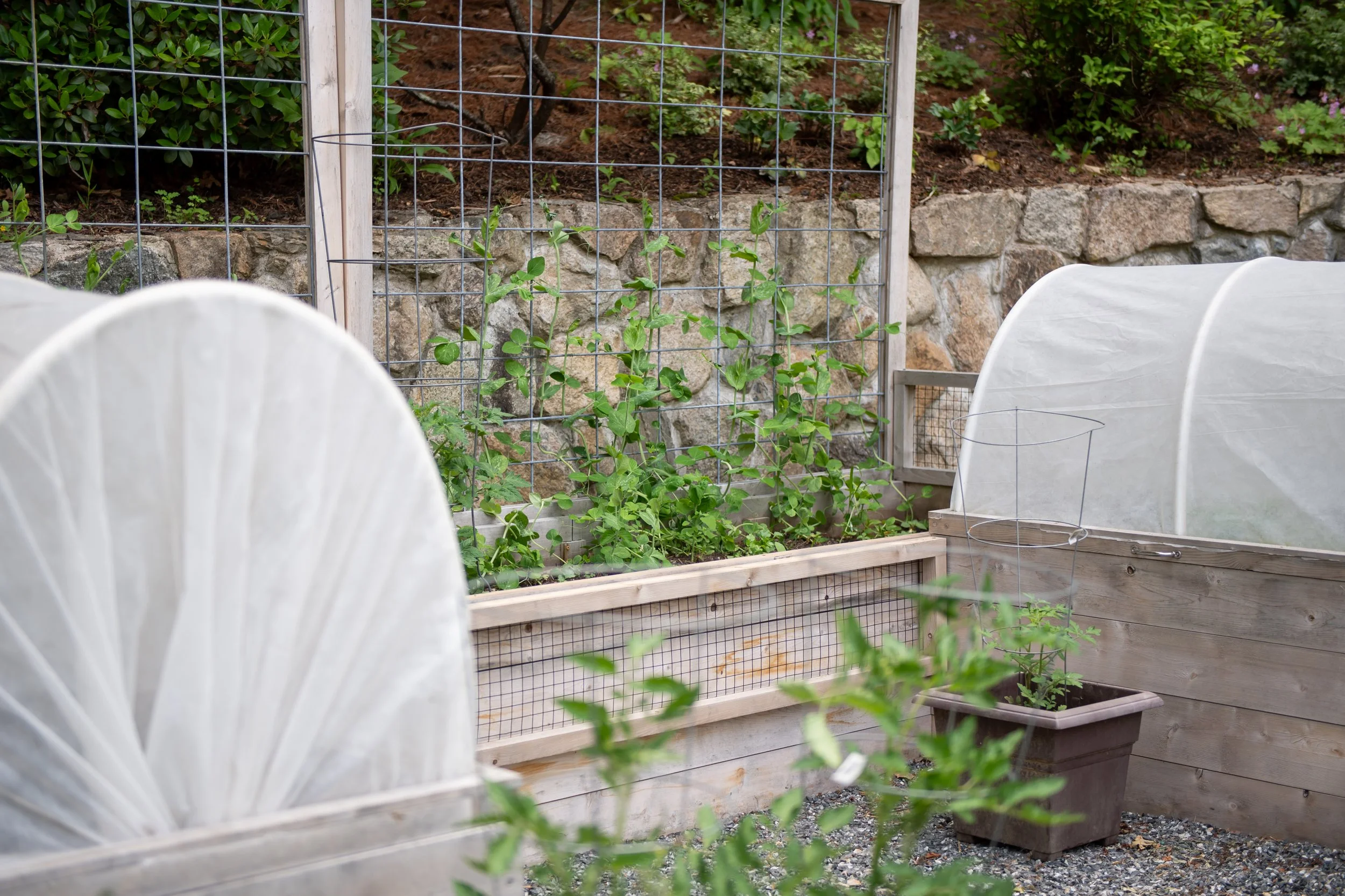 Reimagined Roots Custom Cedar Raised Garden Bed Portfolio | Central Massachusetts