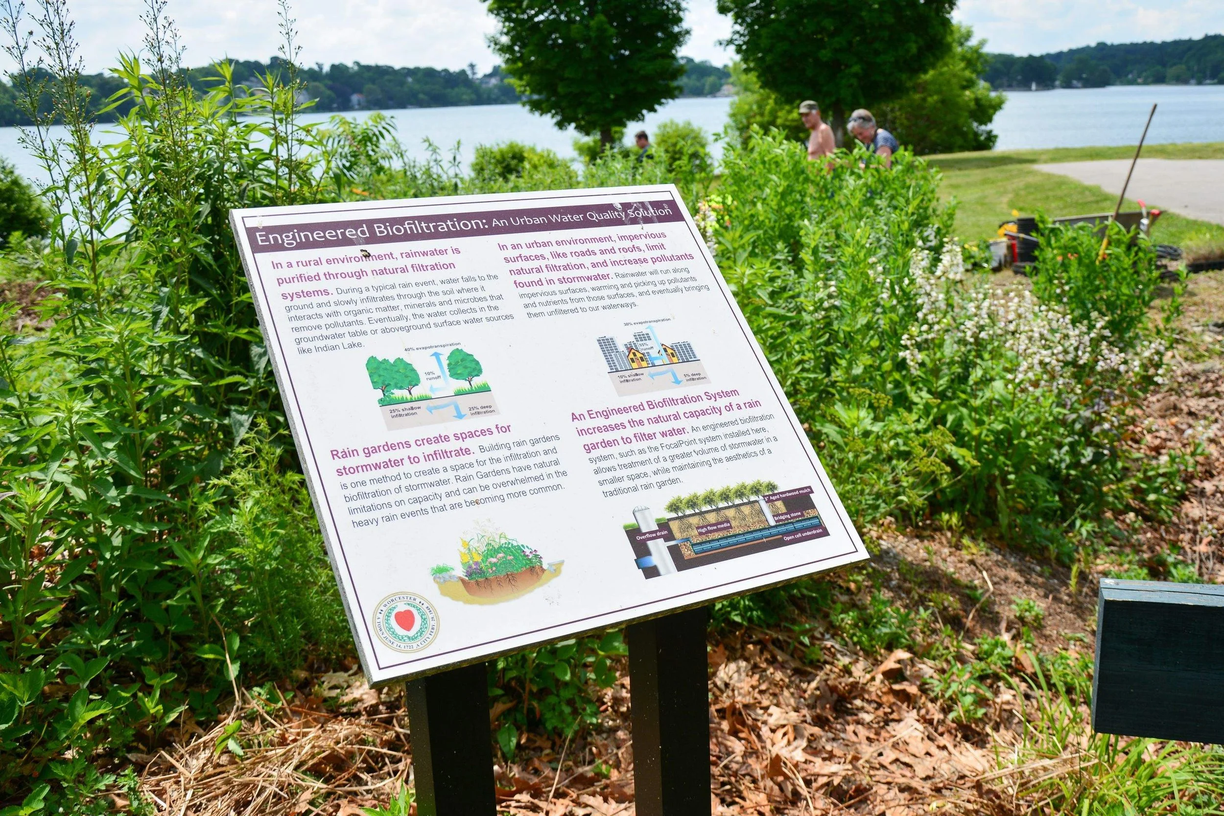 Shore Park Rain Garden - Worcester, MA