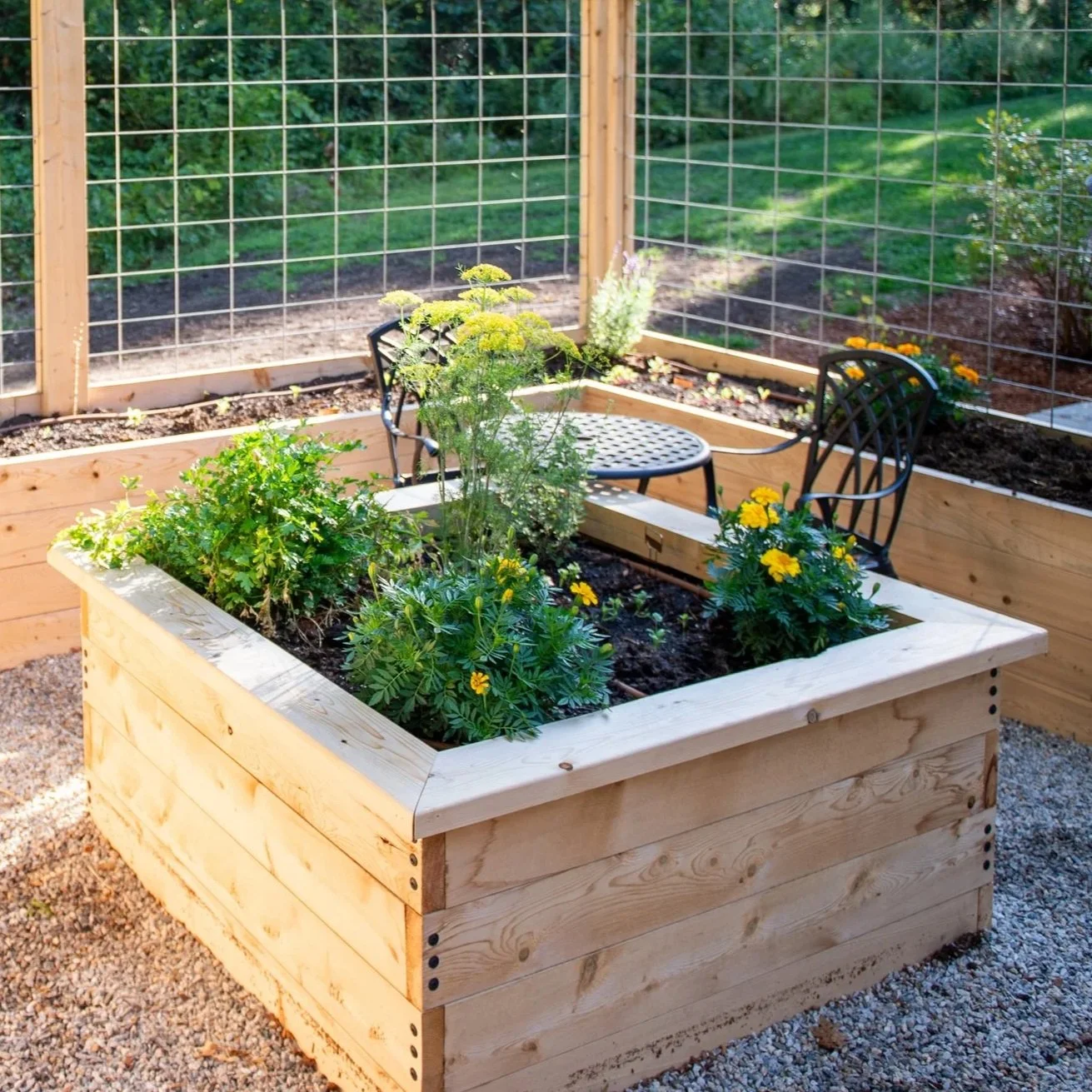 Raised+Bed_Packard_Douglas_01+%281%29.jpg