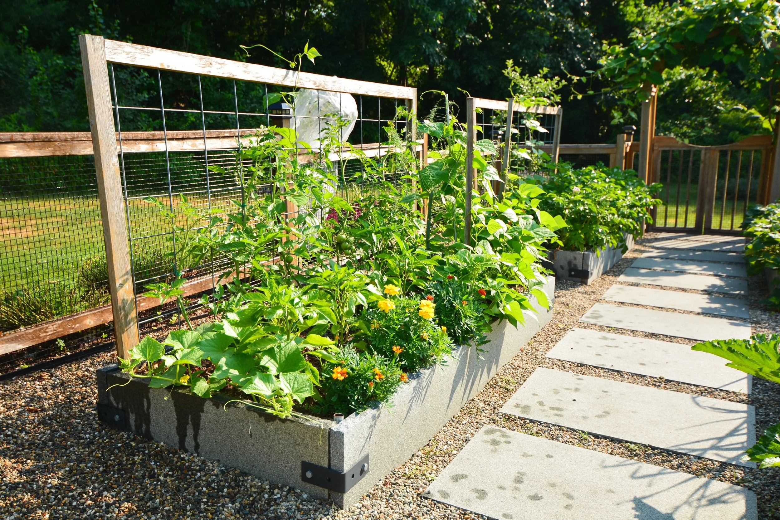 Reimagined Roots Custom Cedar Raised Garden Bed Portfolio | Central Massachusetts