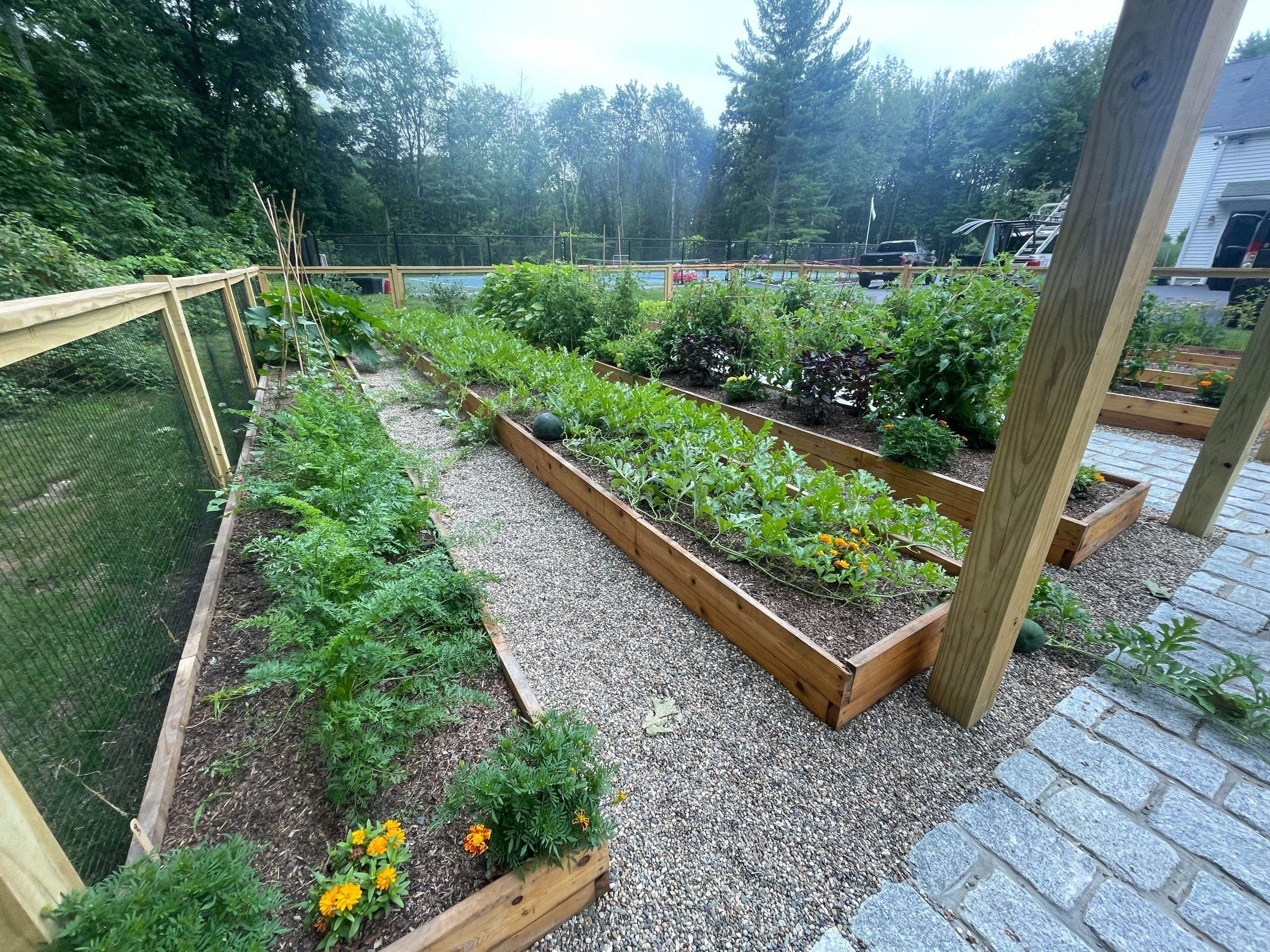 Reimagined Roots Custom Cedar Raised Garden Bed Portfolio | Central Massachusetts