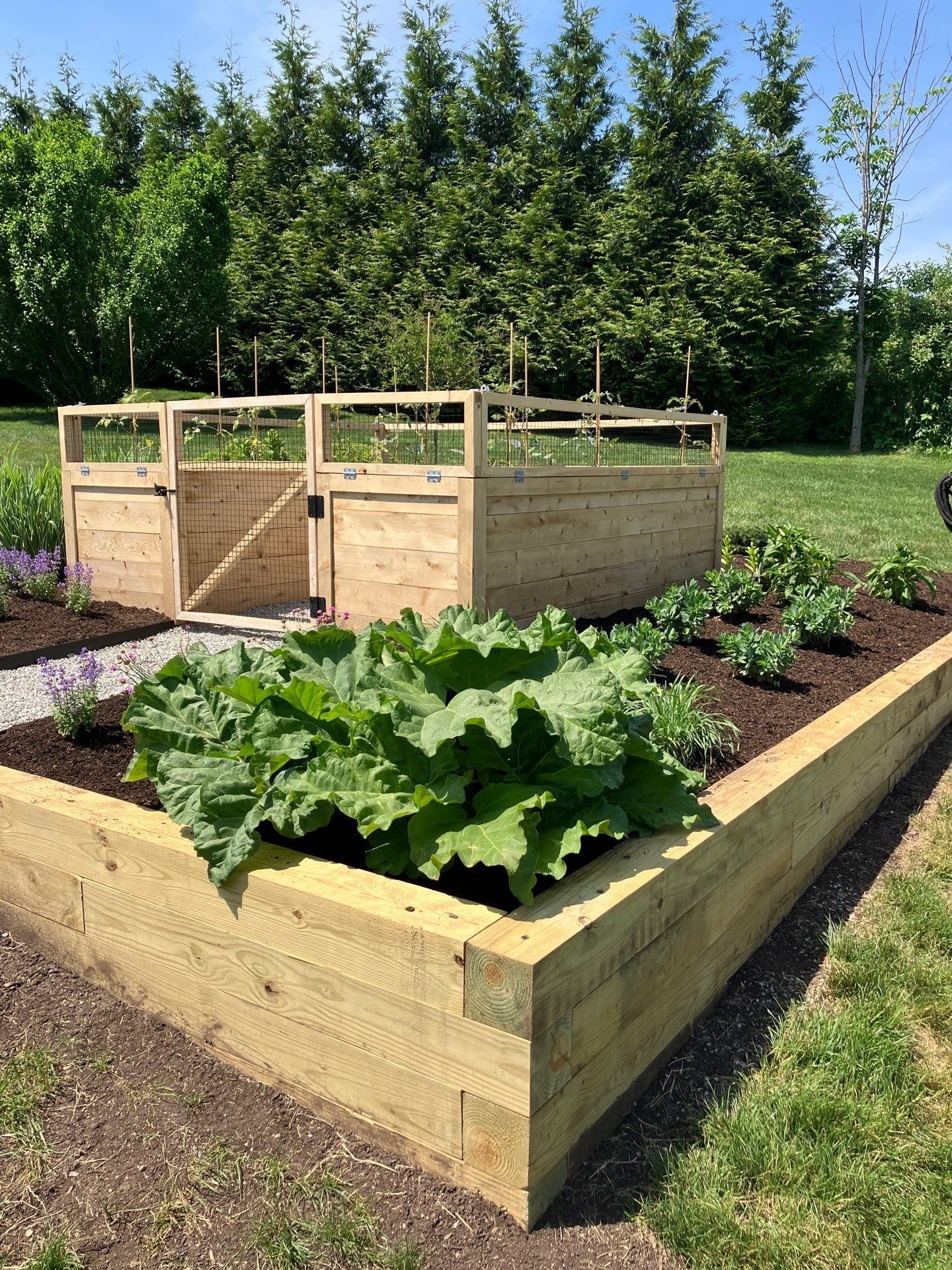Reimagined Roots Custom Cedar Raised Garden Bed Portfolio | Central Massachusetts