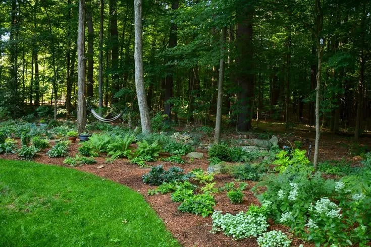 Native Shade Garden Design for a Resilient Landscape.jpg
