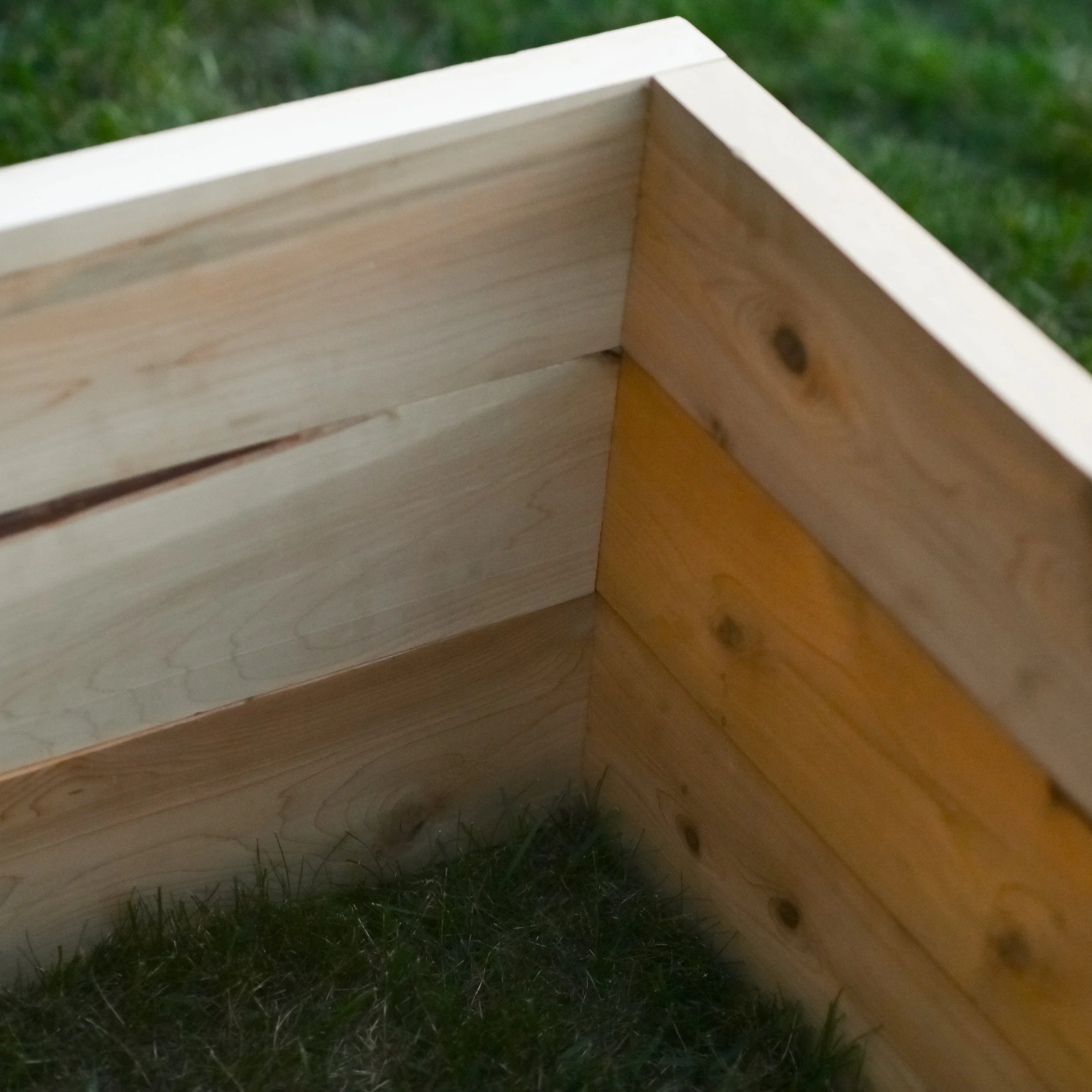 2026 Reimagined Roots Raised Garden Bed-6.jpg