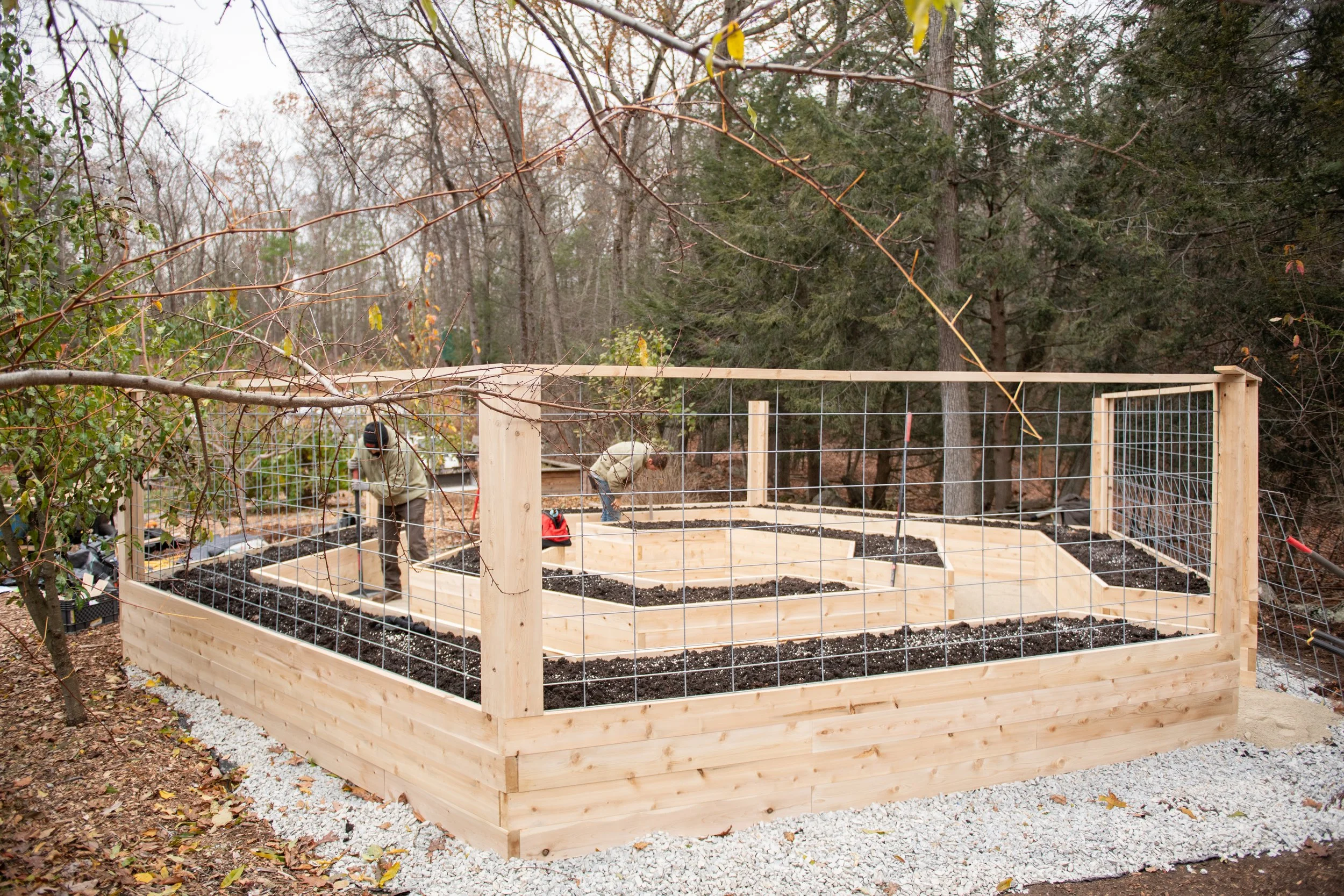 Reimagined Roots Custom Cedar Raised Garden Bed Portfolio | Central Massachusetts