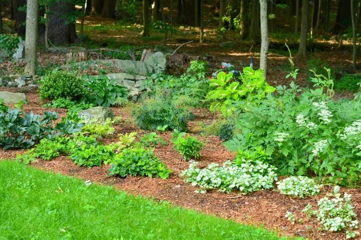 Shade Garden Design.jpg
