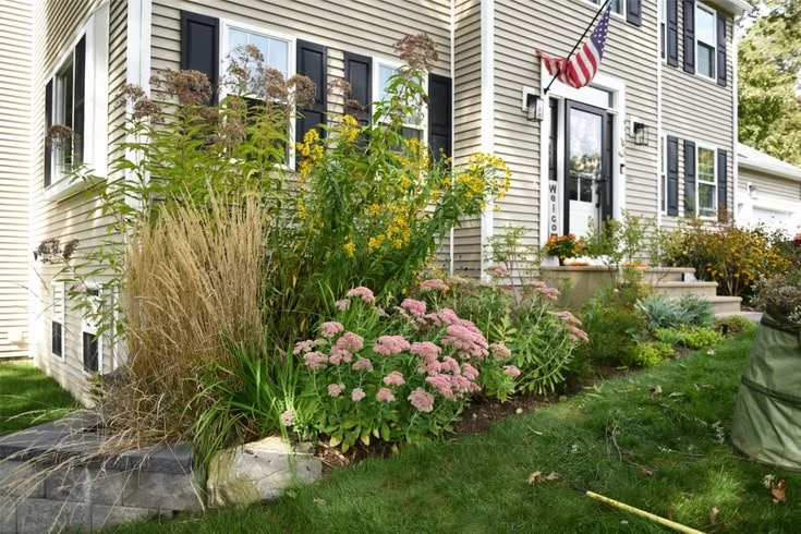 Native Foundation Garden Design in Grafton, Massachusetts.jpg