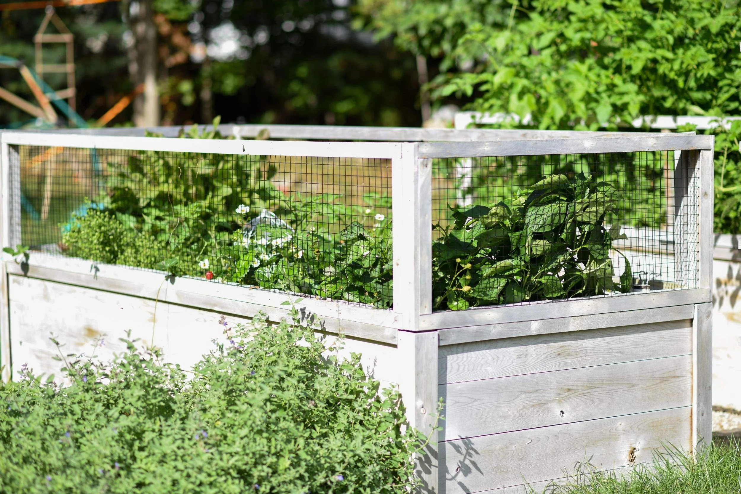 Reimagined Roots Custom Cedar Raised Garden Bed Portfolio | Central Massachusetts