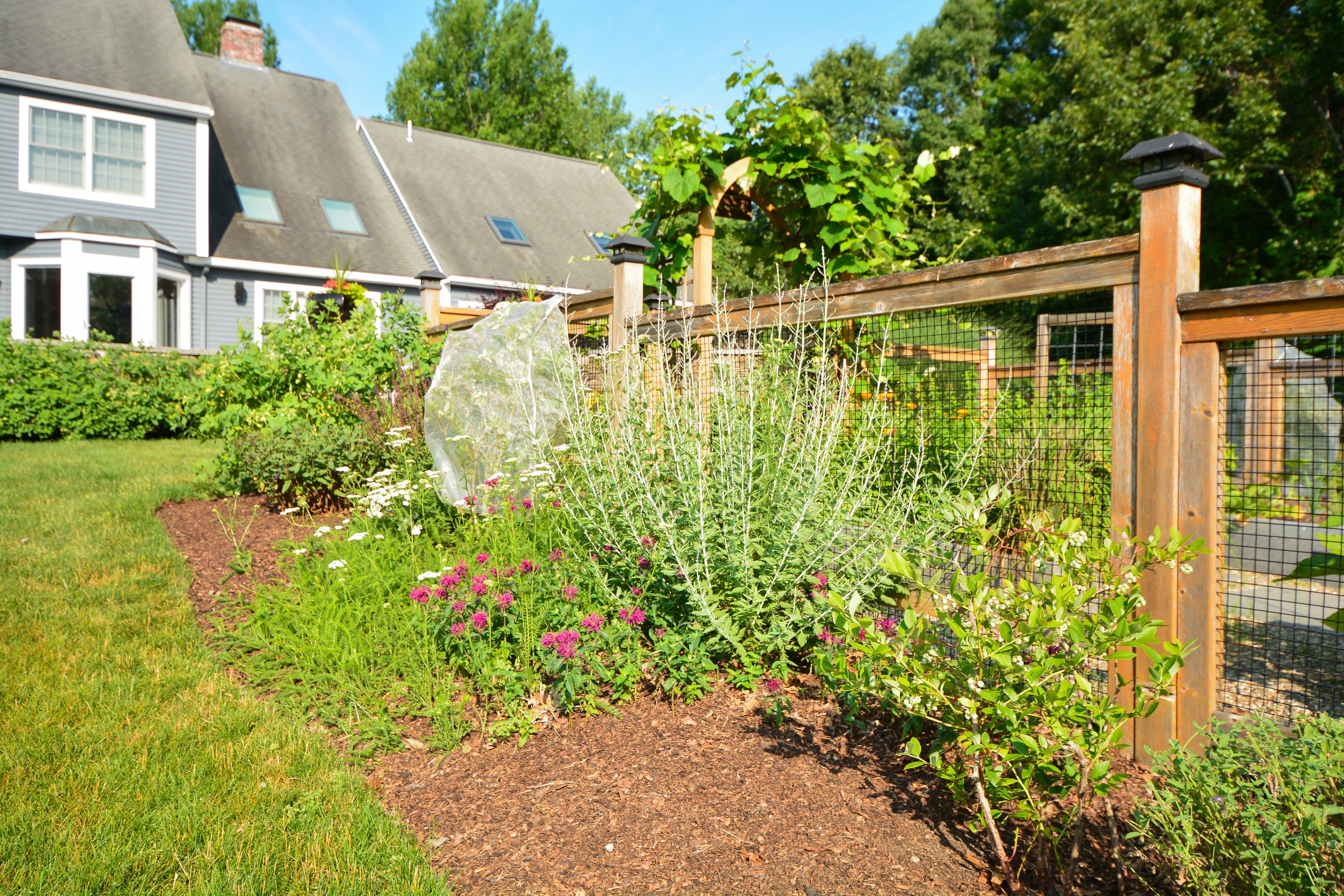 Reimagined Roots Custom Cedar Raised Garden Bed Portfolio | Central Massachusetts