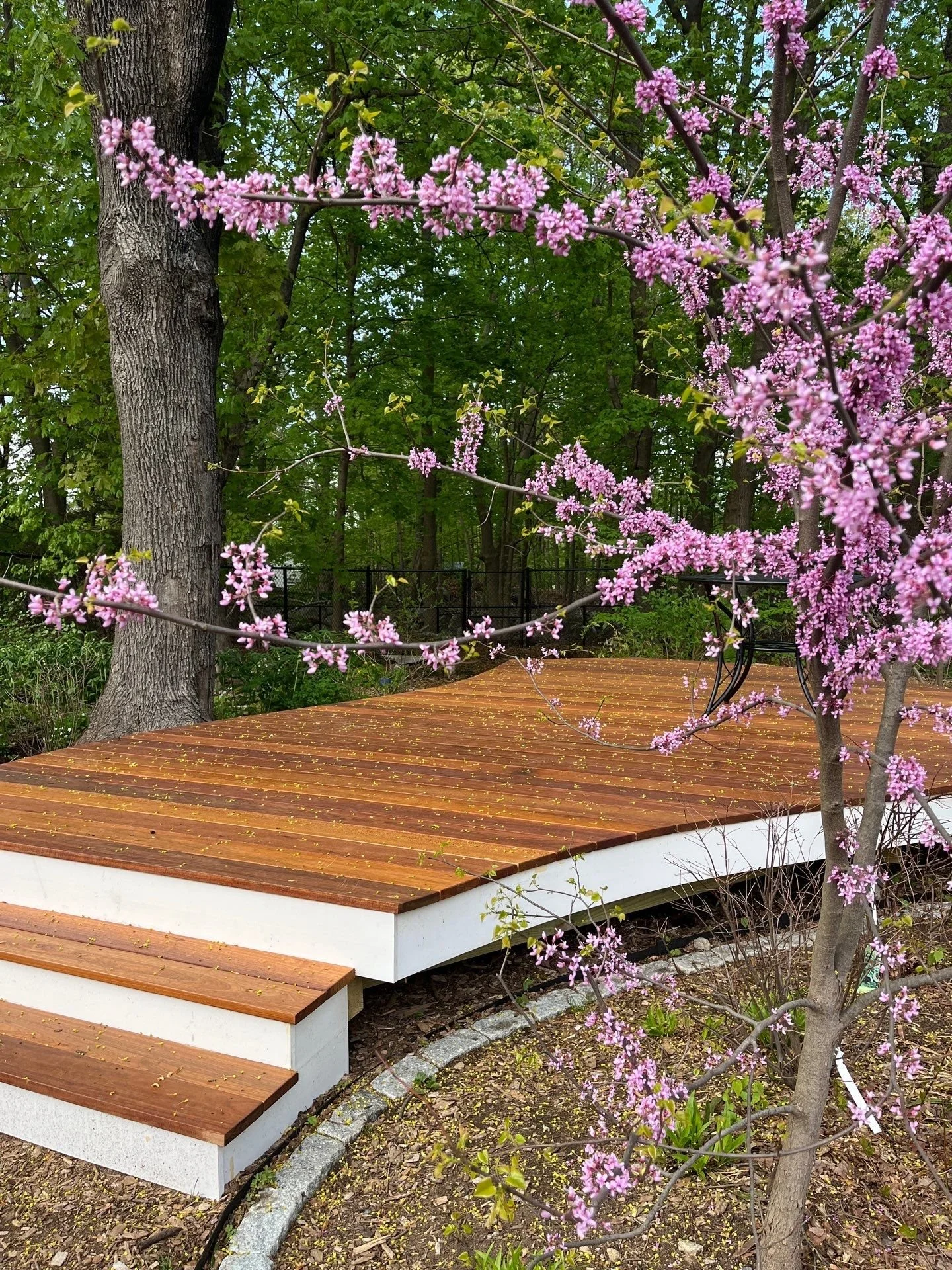 Organic Backyard Oasis, Designed To Flourish