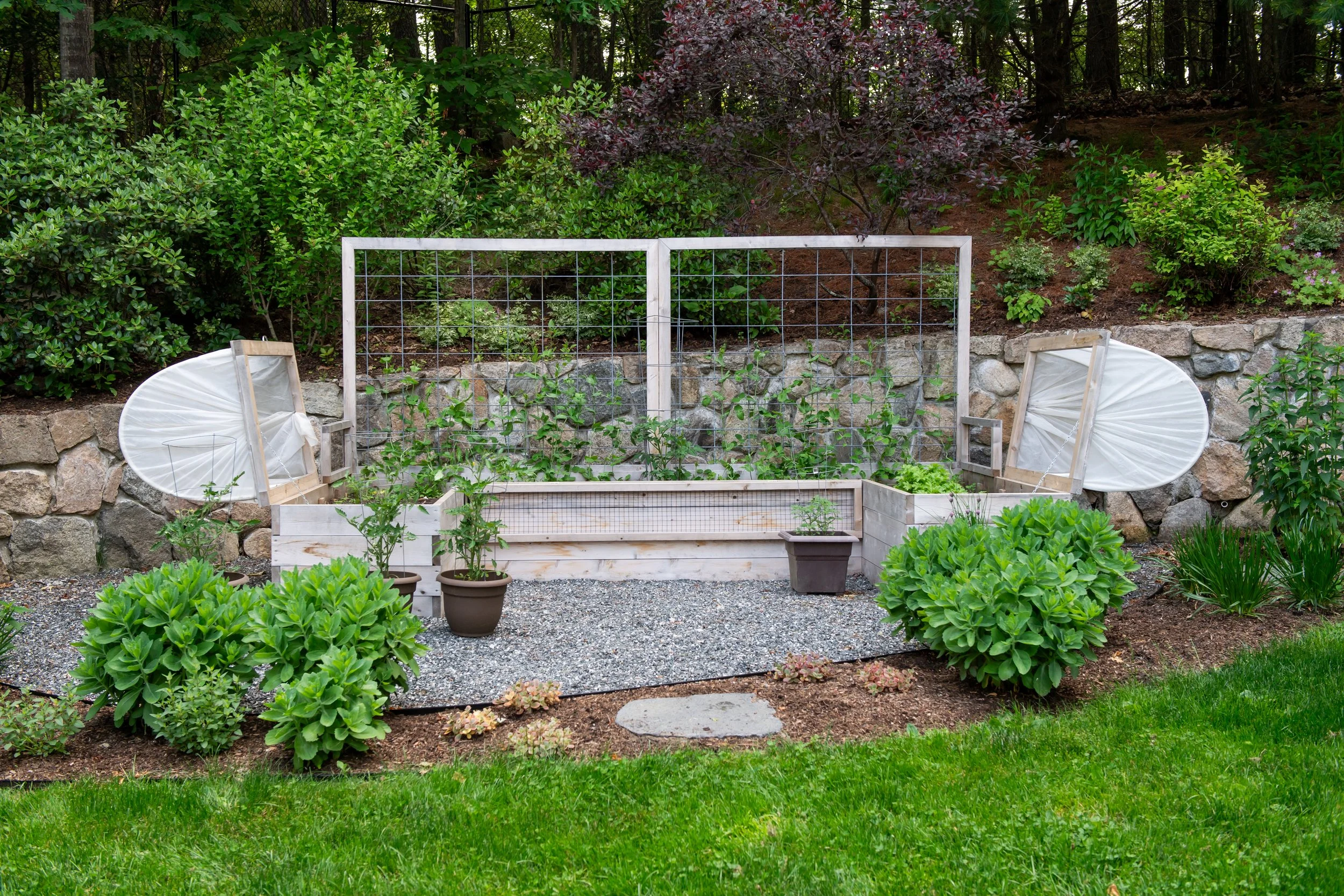 Reimagined Roots Custom Cedar Raised Garden Bed Portfolio | Central Massachusetts