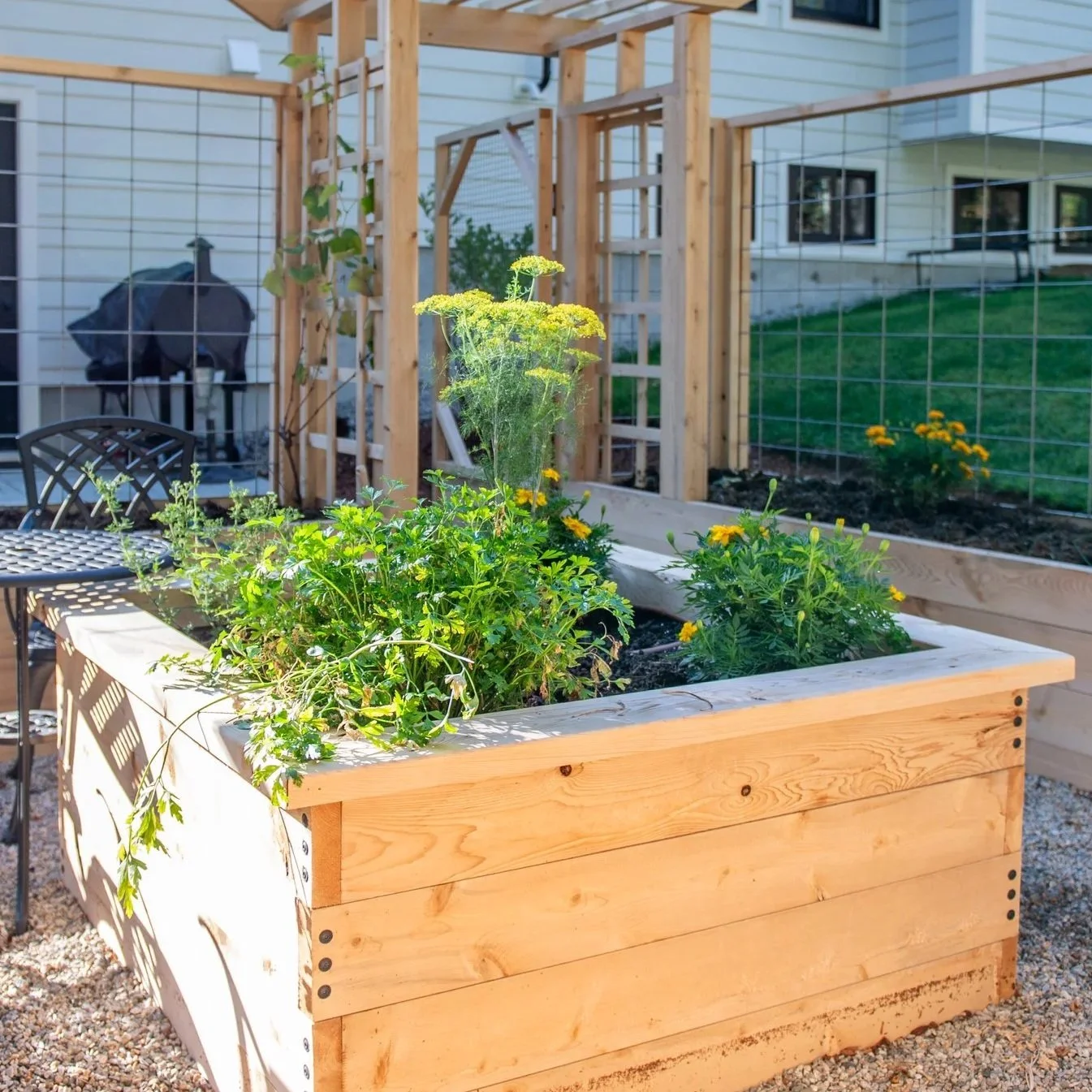 Raised+Bed_Packard_Douglas_02+%281%29.jpg