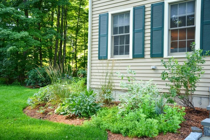 Front Yard Native Plant Landscaping for a Resilient Garden.jpg