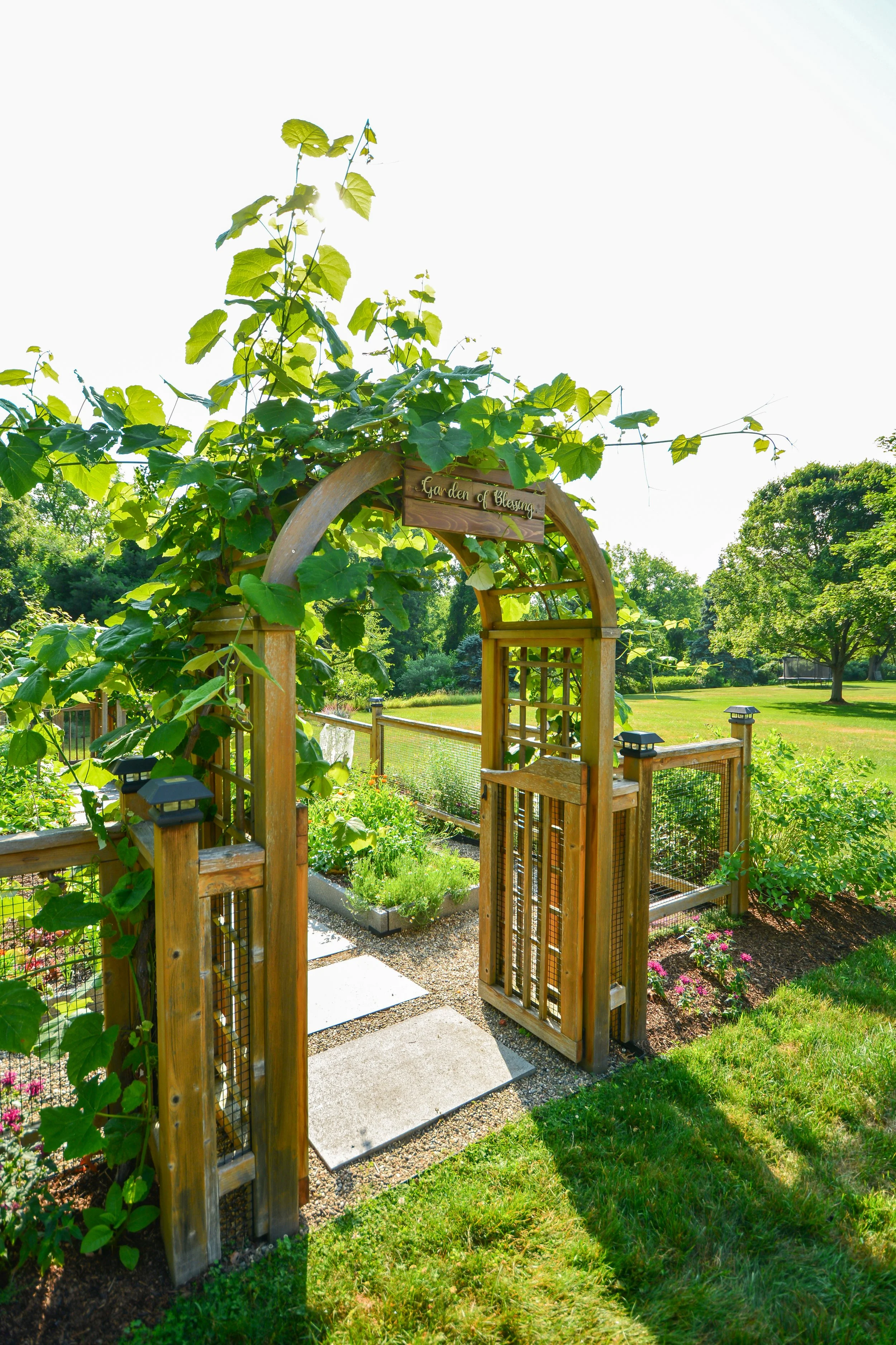 Reimagined Roots Custom Cedar Raised Garden Bed Portfolio | Central Massachusetts