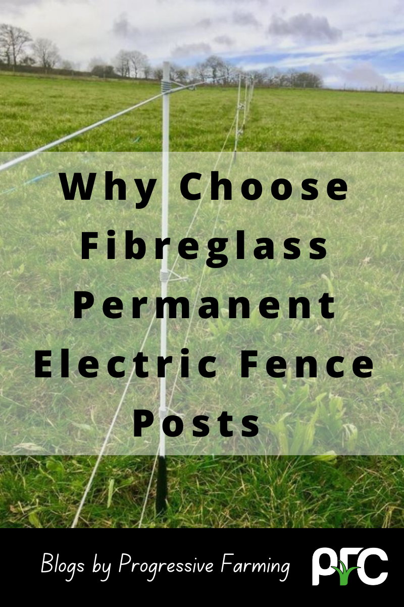 Fibreglass Posts V Metal and Wood