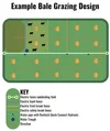 Expert Guide to Successful Bale Grazing This Winter | Progressive ...