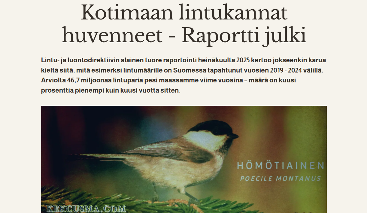 Kotimaan lintukannat huvenneet - Raportti julki
