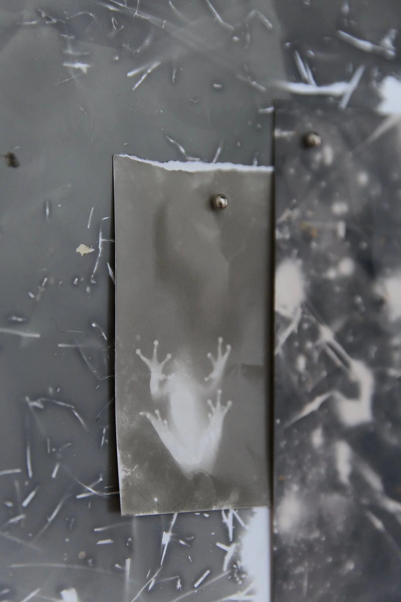 WEB_PhClaraNerone_019 (1).jpg