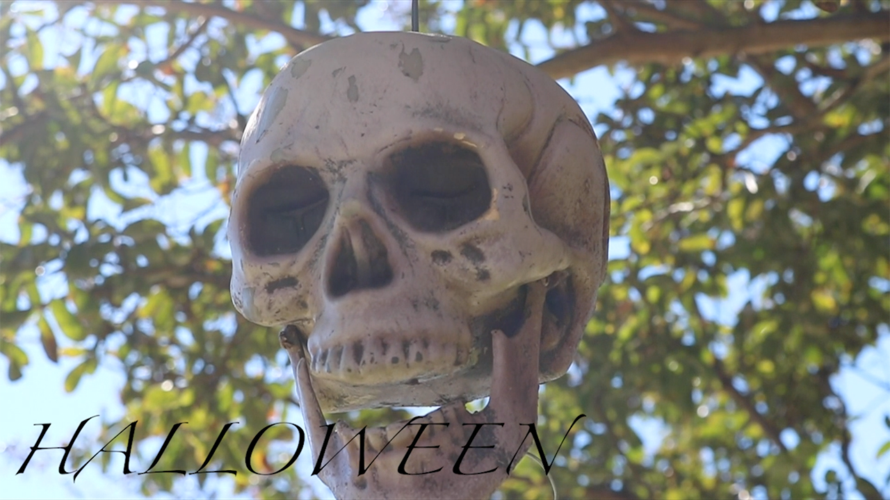 halloween is cancelled