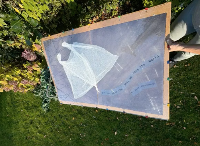 Ocean IV Virtual Art Residency: trust the process, embrace the serendipity