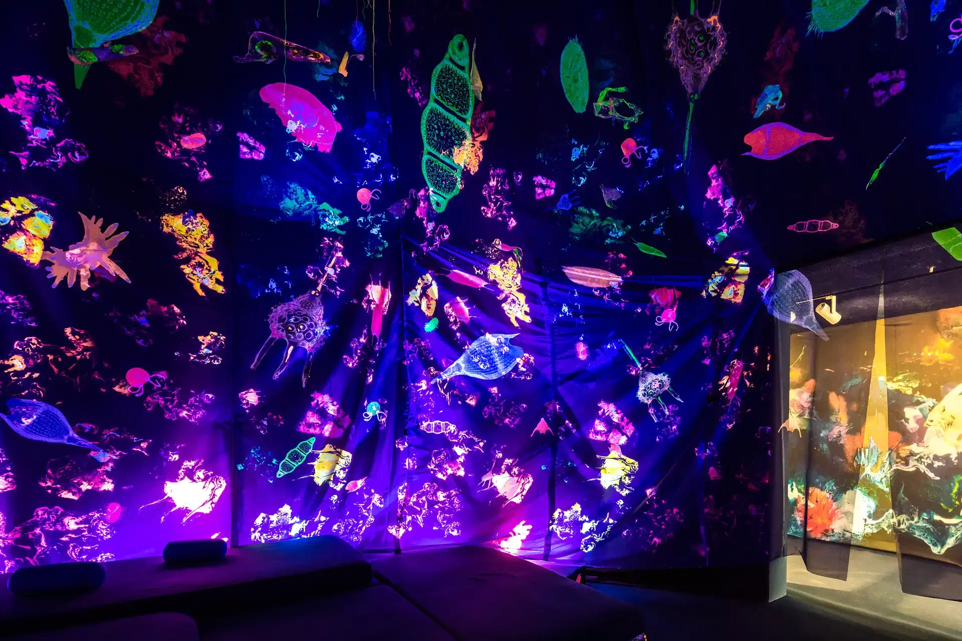 Image from Worlds Away