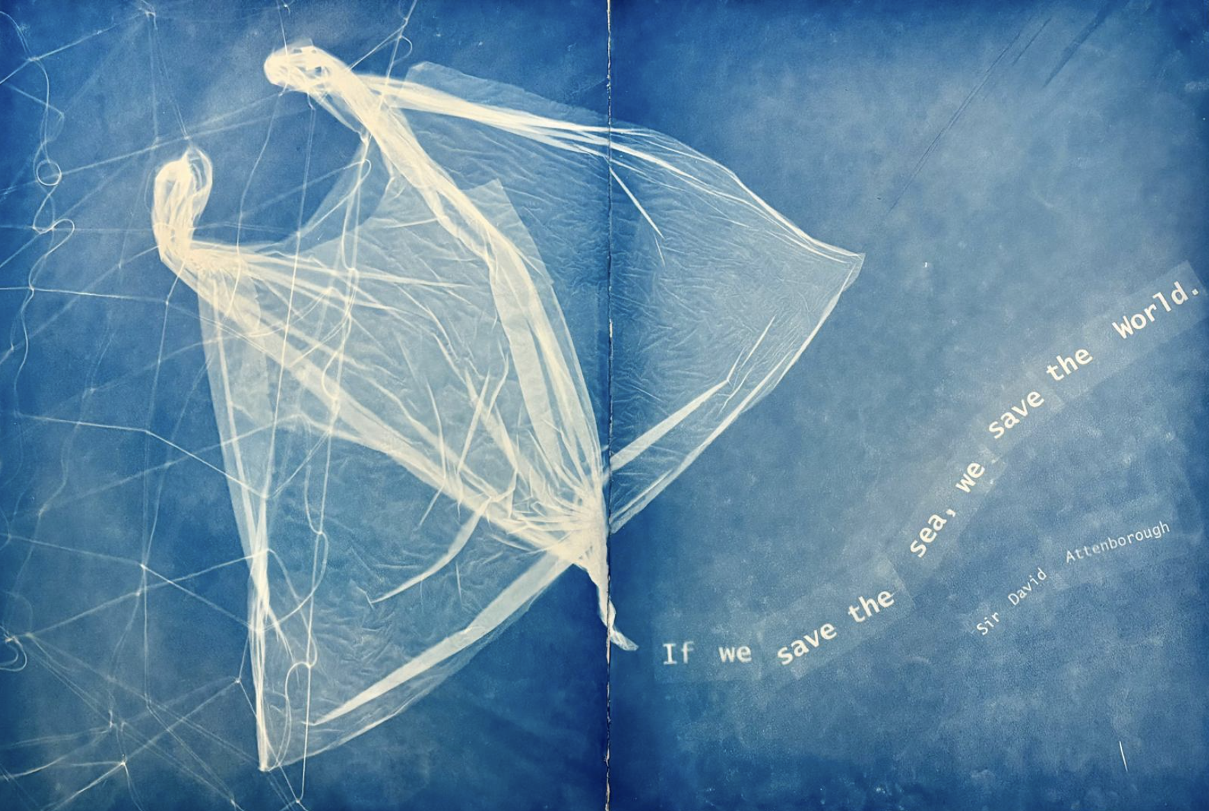 We Save the Sea, We Save the World