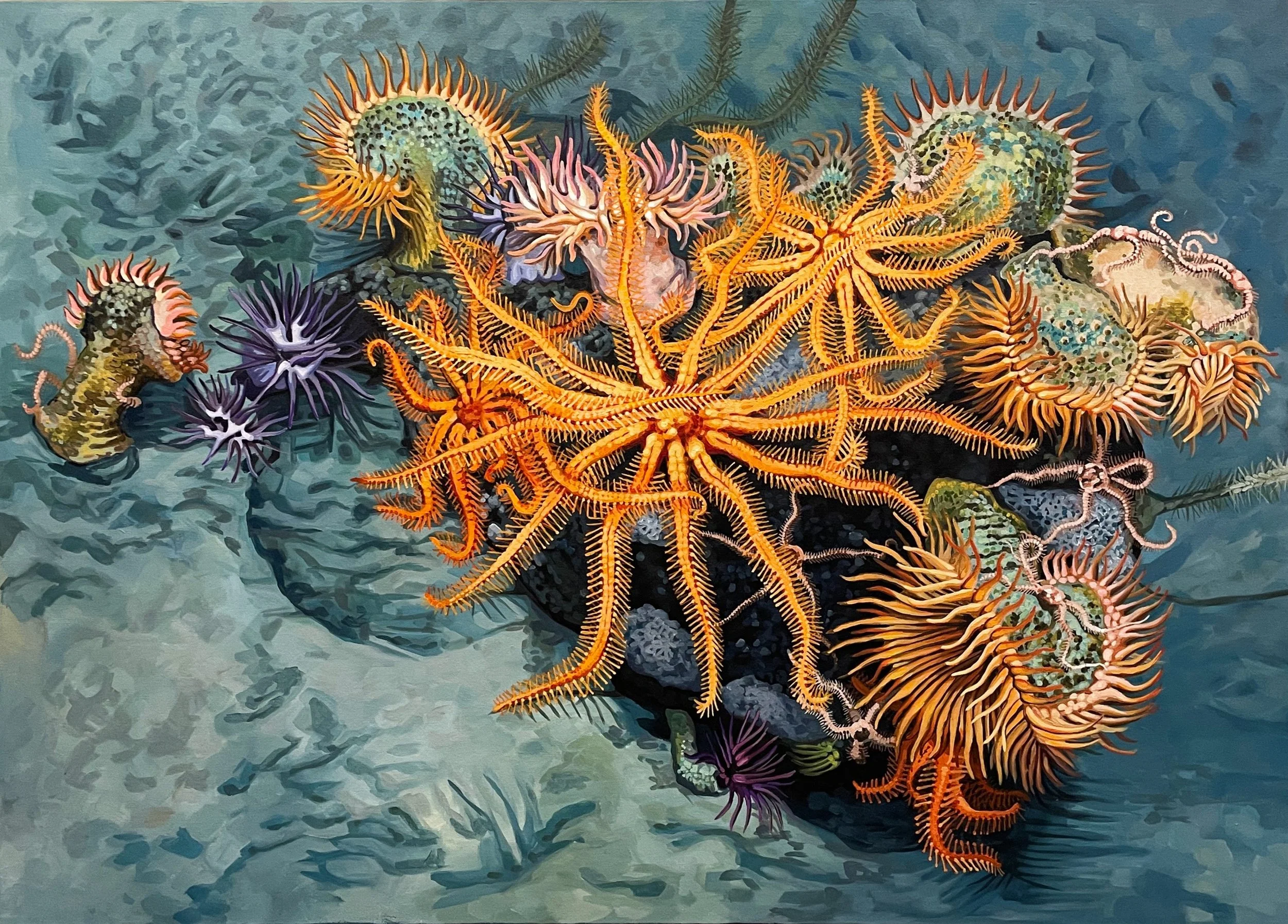 Interview with Artist Meghan Jones: Connecting People and the Ocean