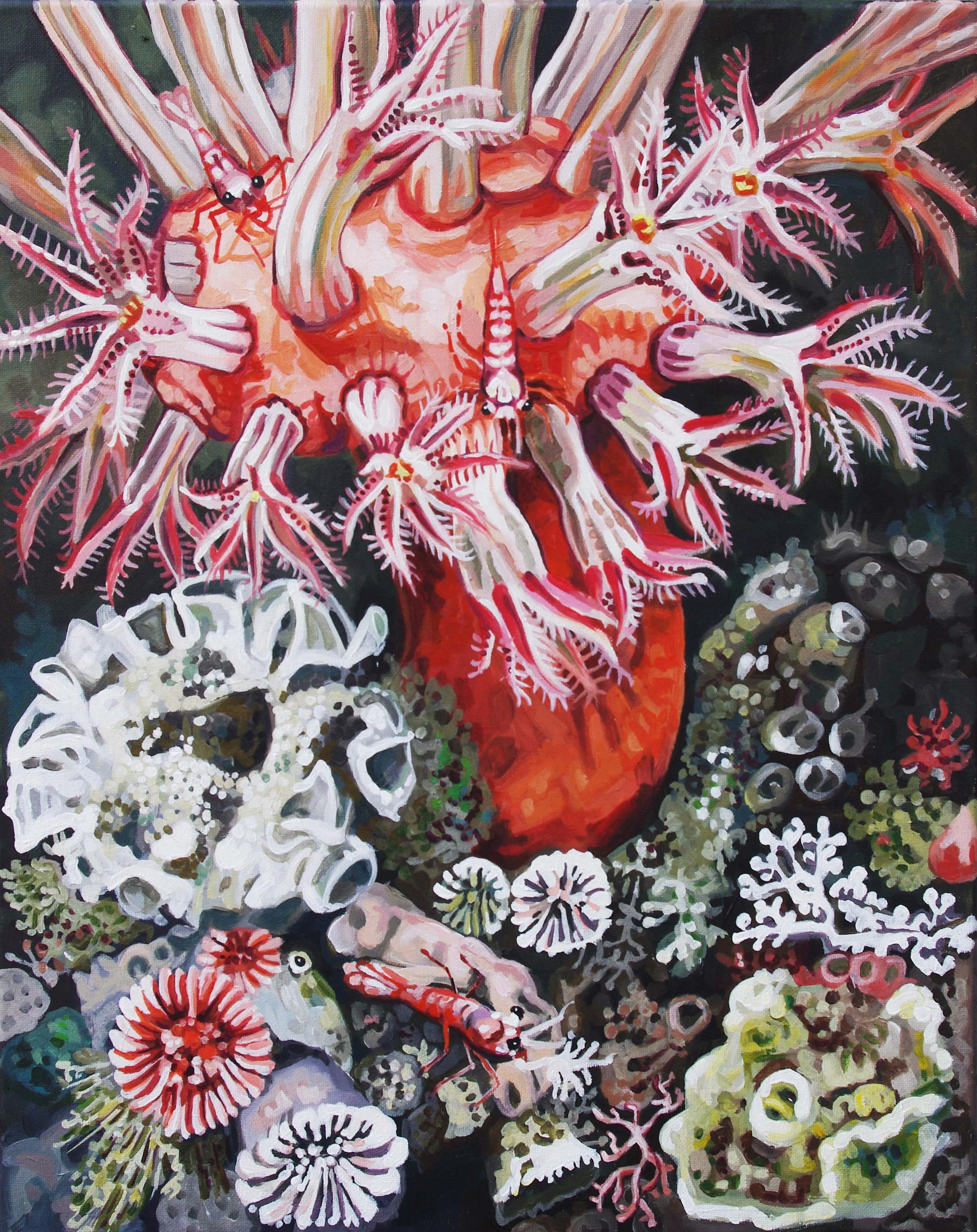 Mushroom Coral Party 
