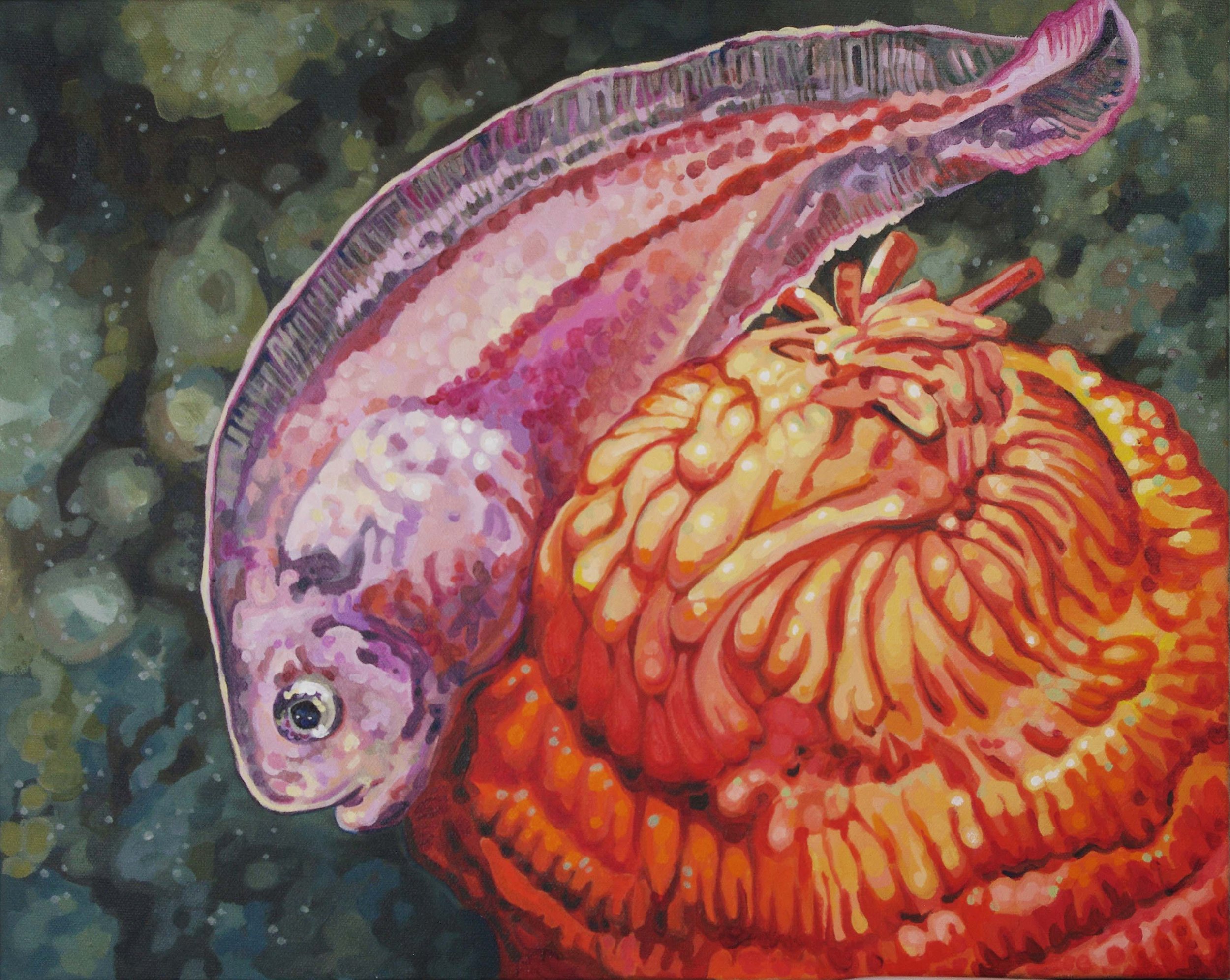Snailfish Cupcake 