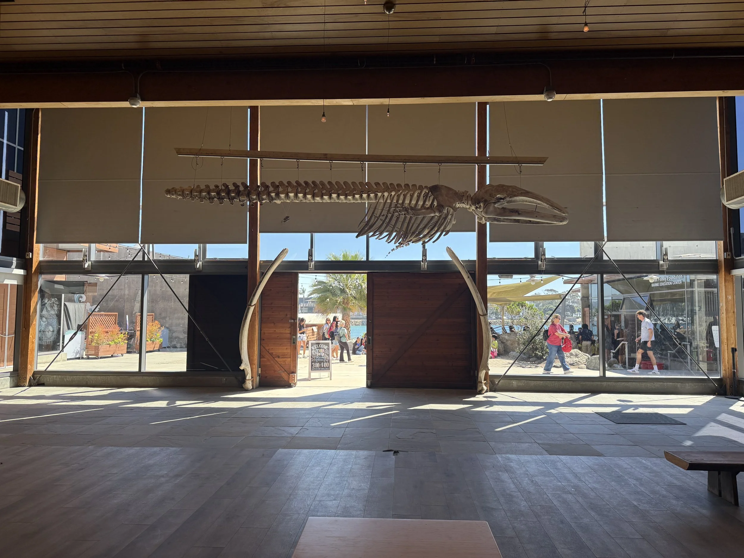 Interior view of a museum or educational center with a whale skeleton display hanging above. Large windows show visitors outside, with palm trees and outdoor seating visible.