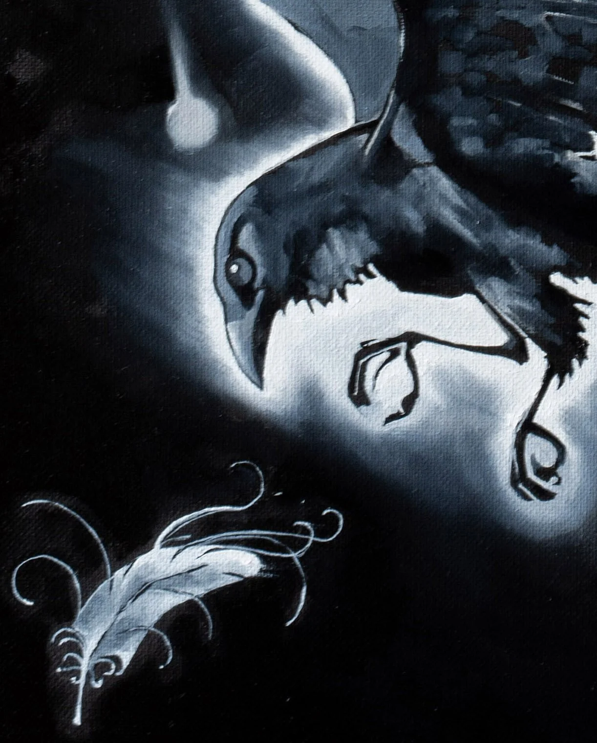 Crow_2_crop.jpg