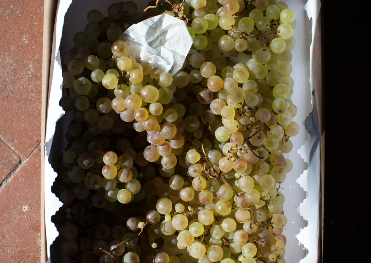 Screenshot 2026-02-05 at 14.22.07.png