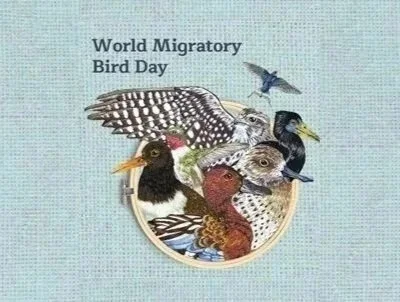 Bird Walk to Celebrate World Migratory Bird Day