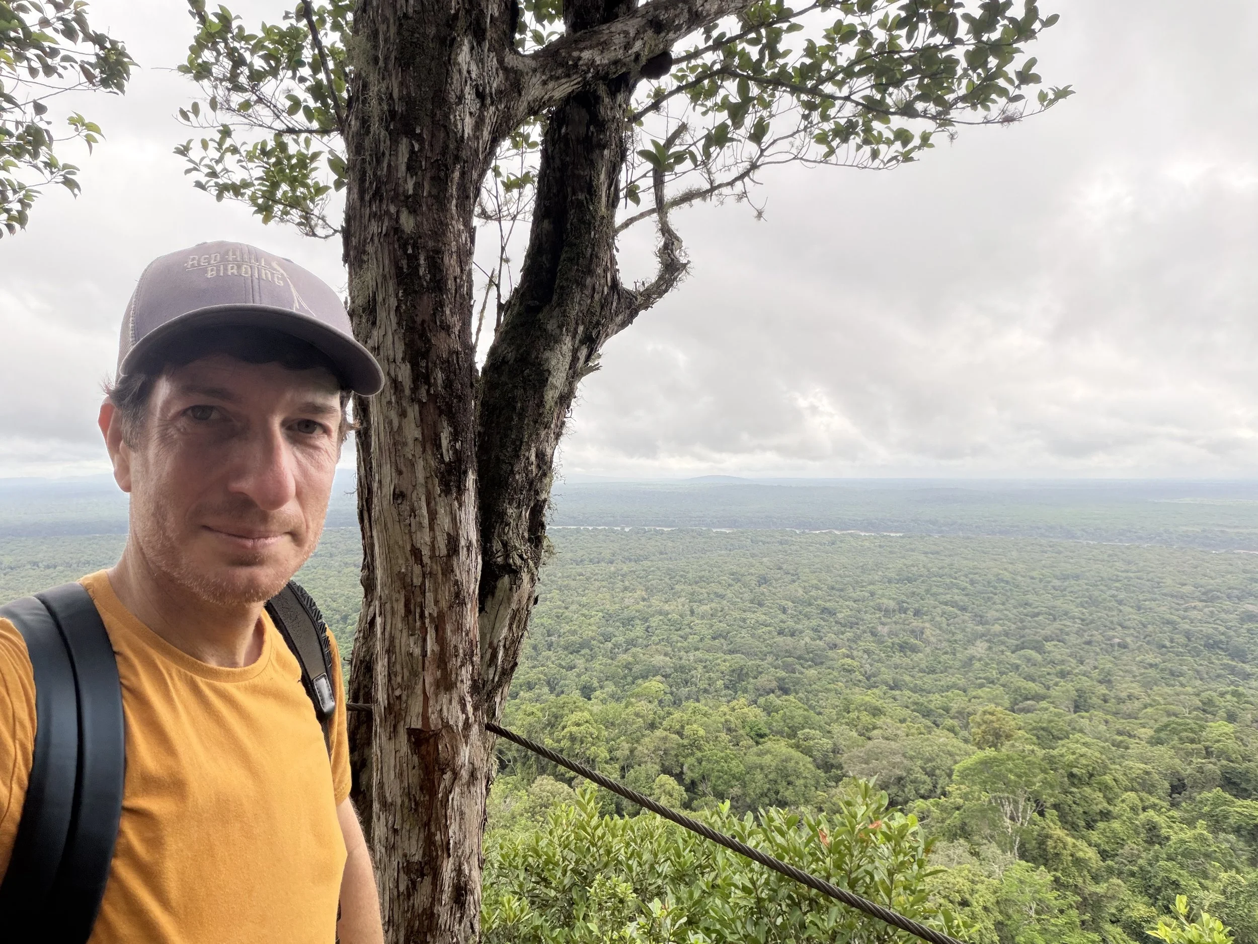 Around the World in 10 Birds: Lessons Learned from a Lifetime of Birding&nbsp;