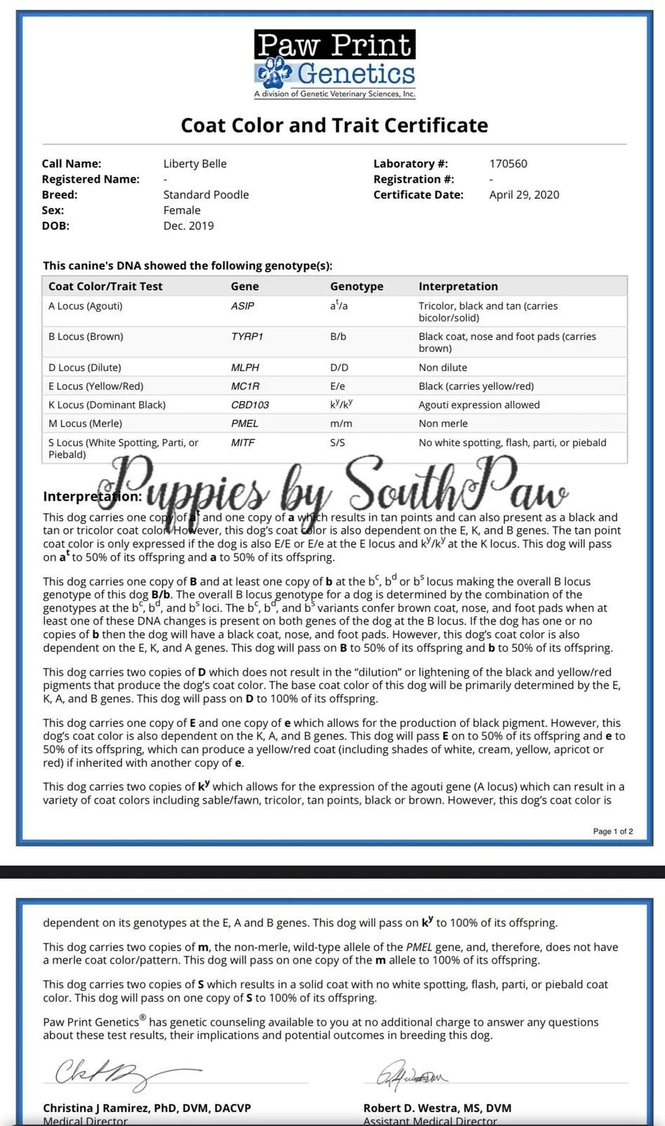 Genetic Color Results